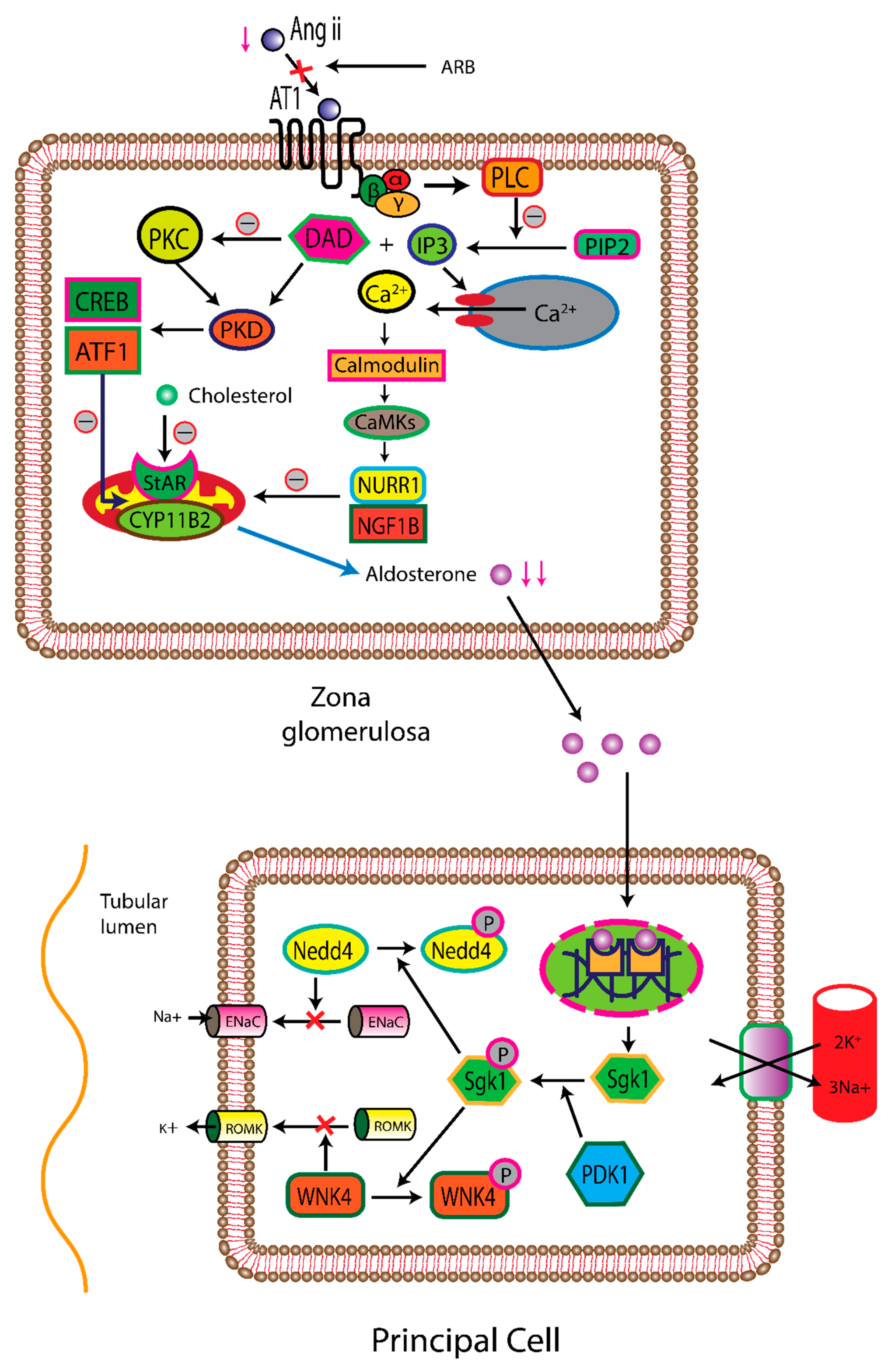 Preprints 113097 g002