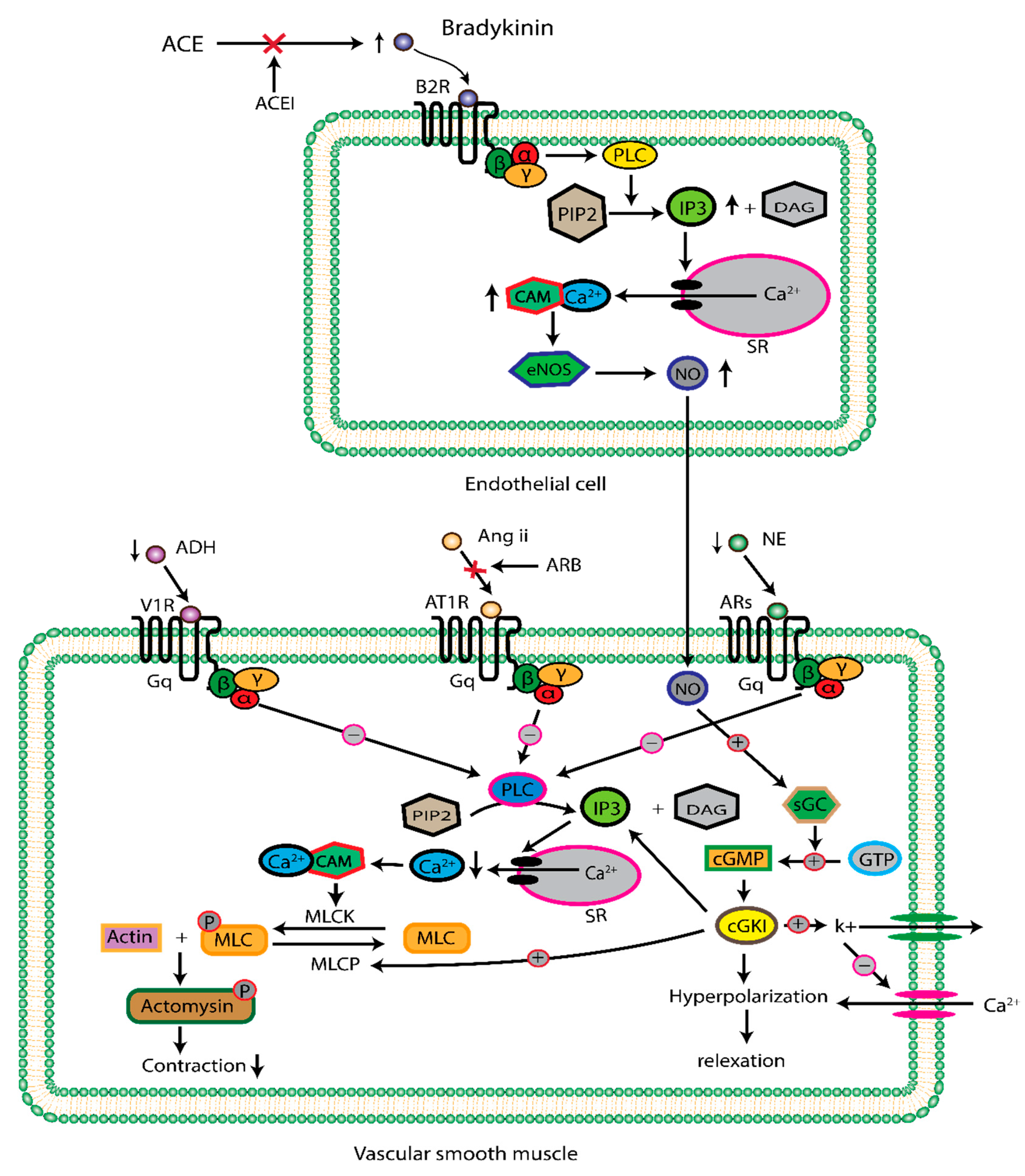 Preprints 113097 g003