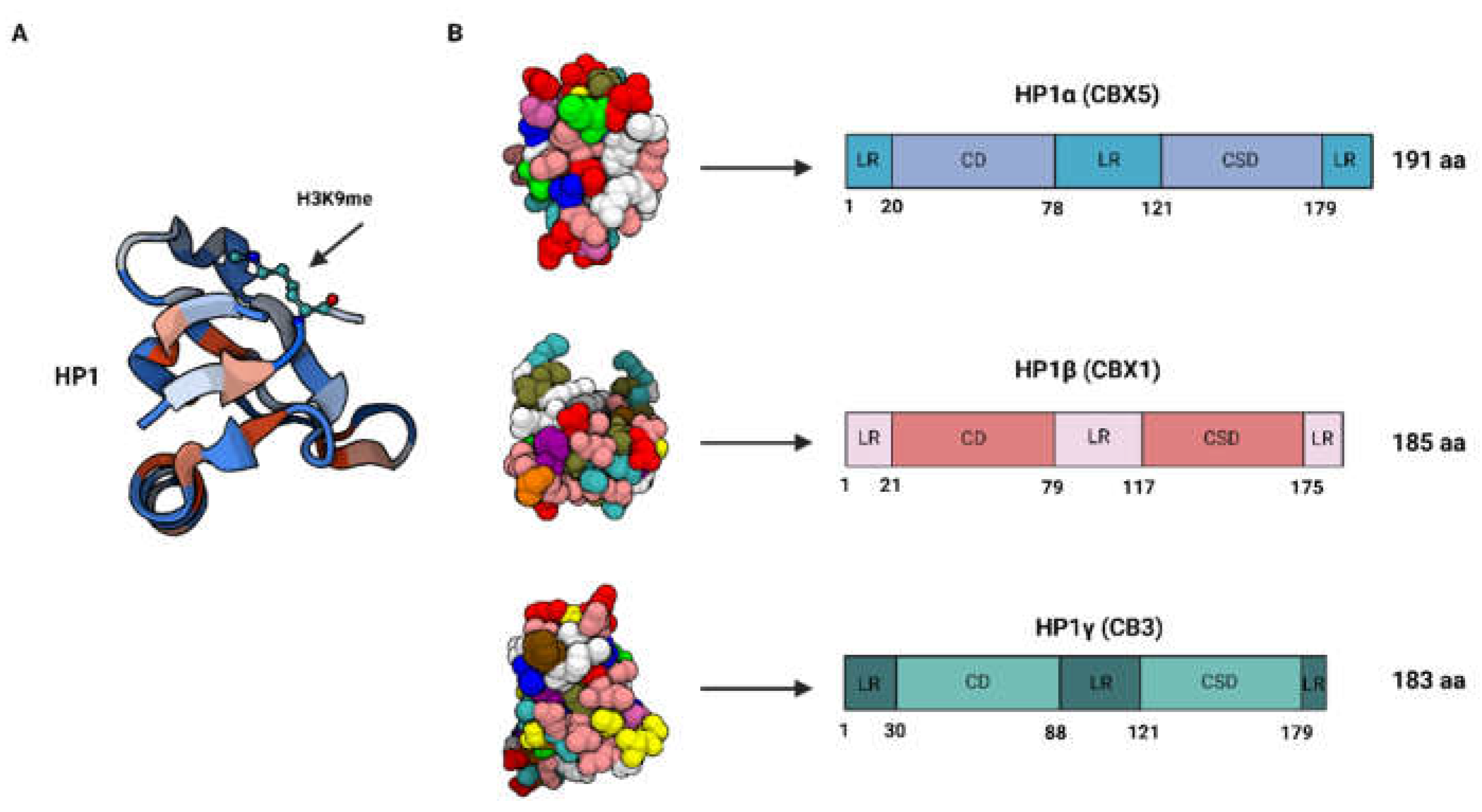 Preprints 113604 g001