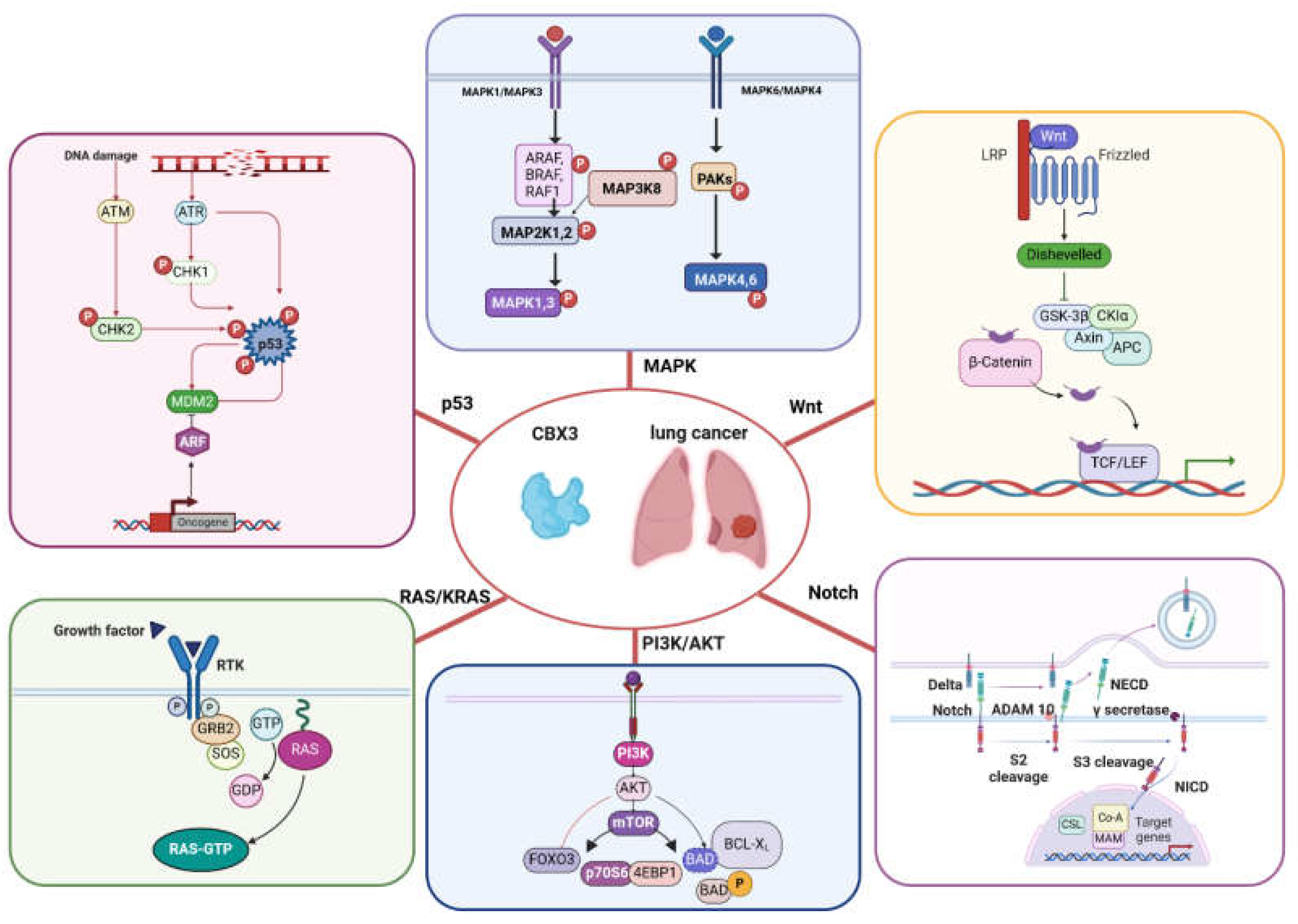 Preprints 113604 g002