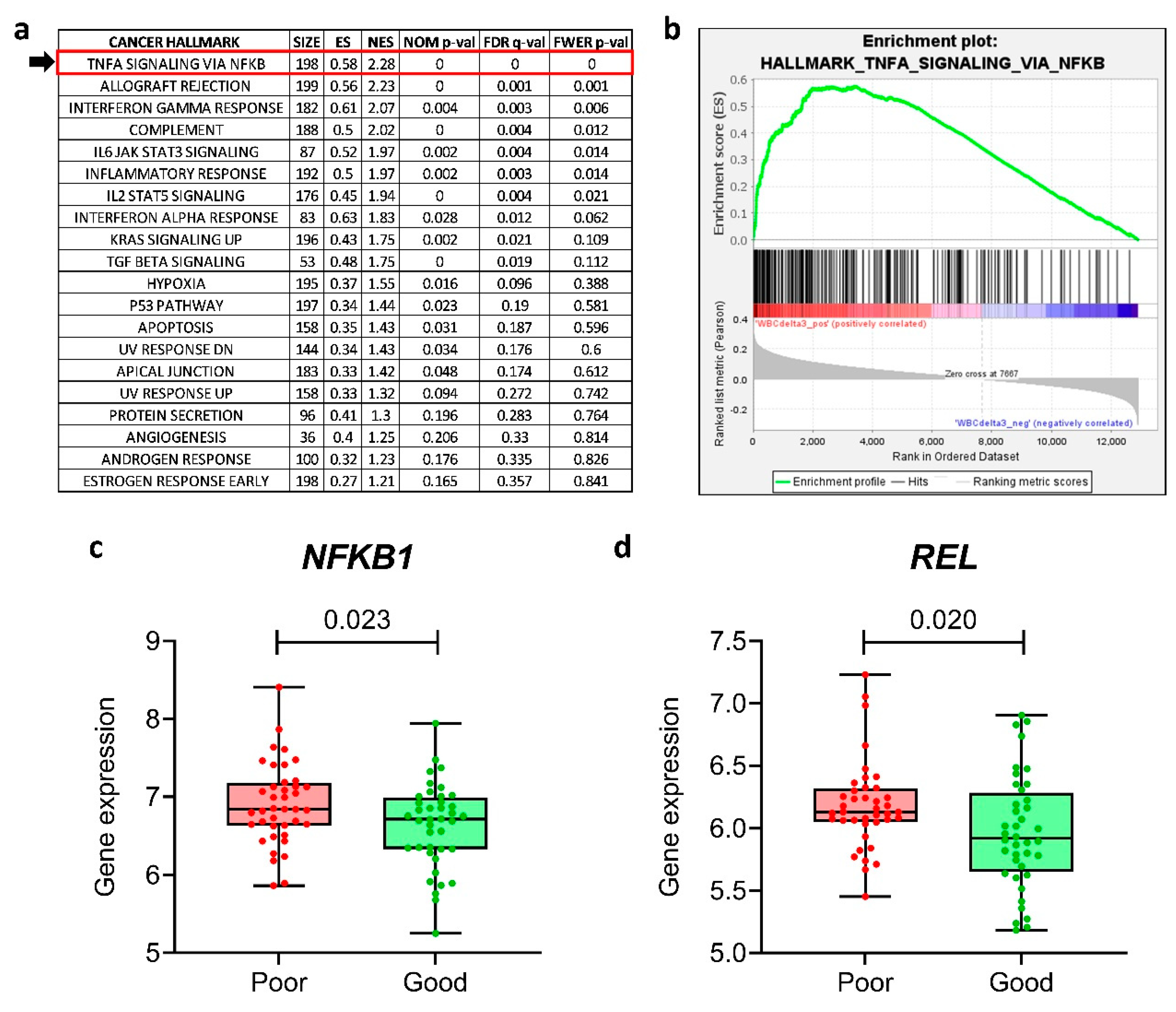 Preprints 82742 g001