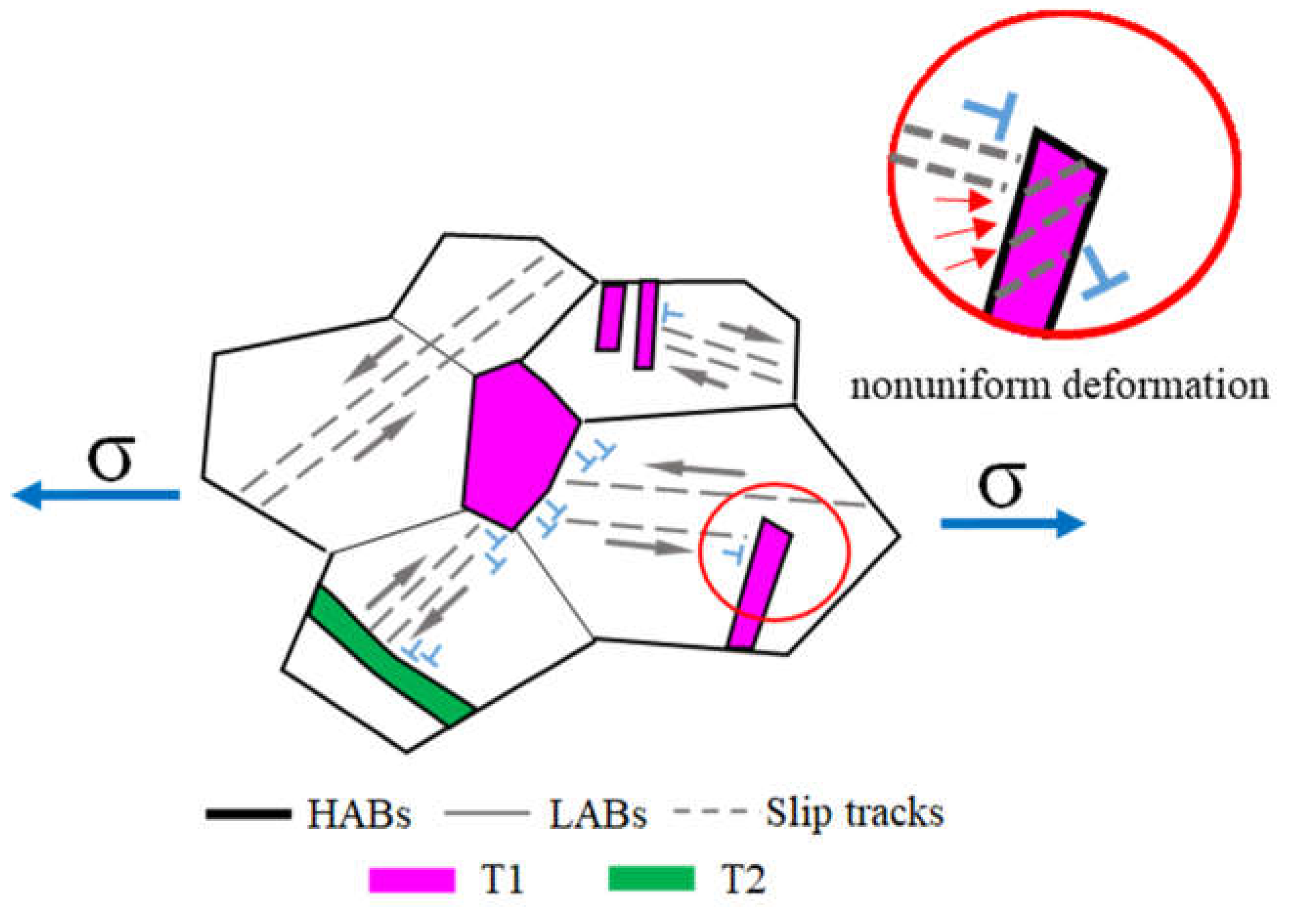 Preprints 68775 g007