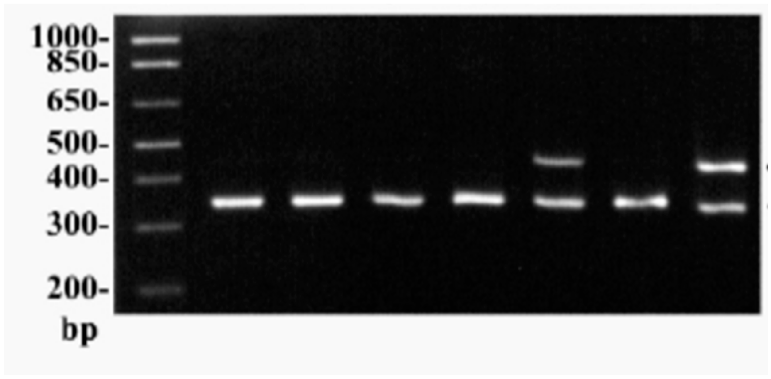 Preprints 113084 g002