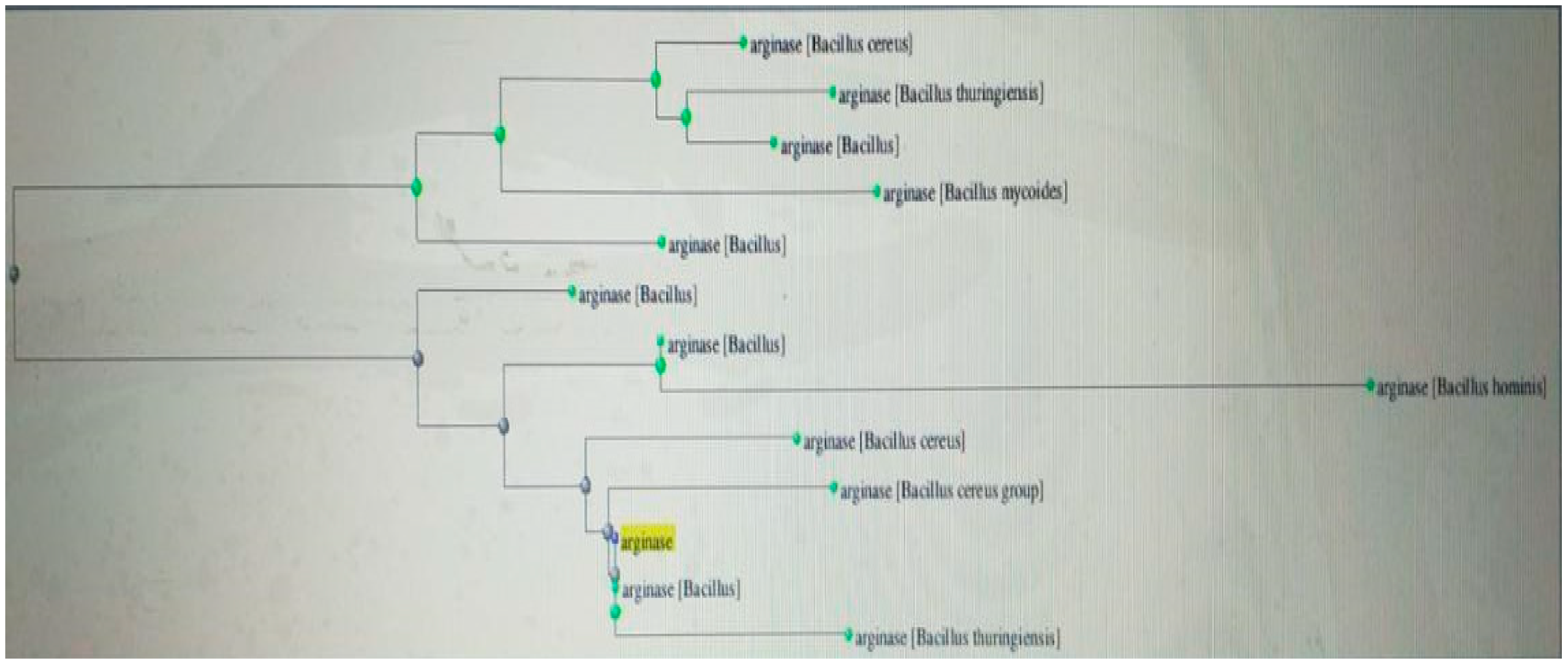 Preprints 113084 g006