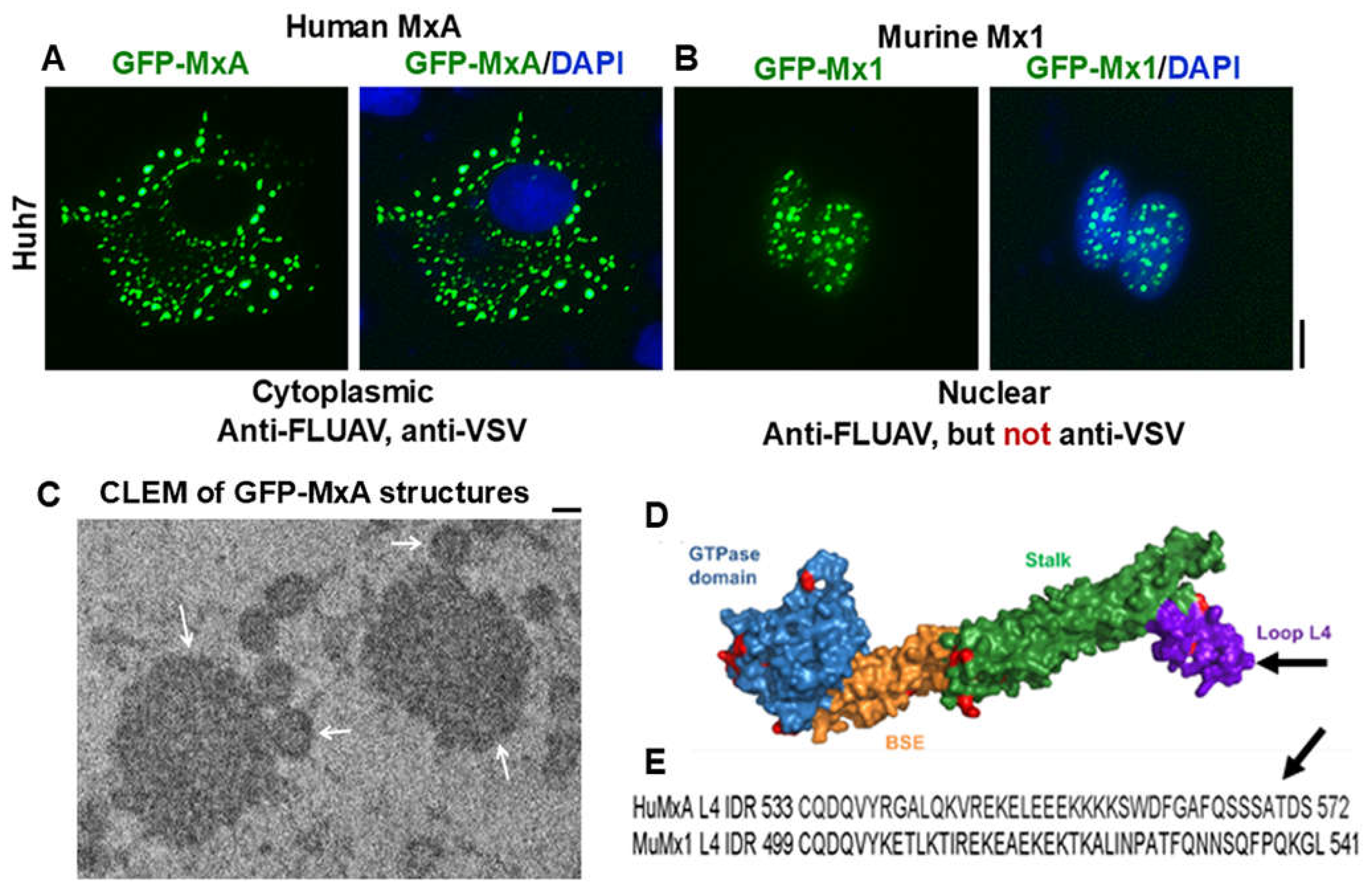 Preprints 119212 g001