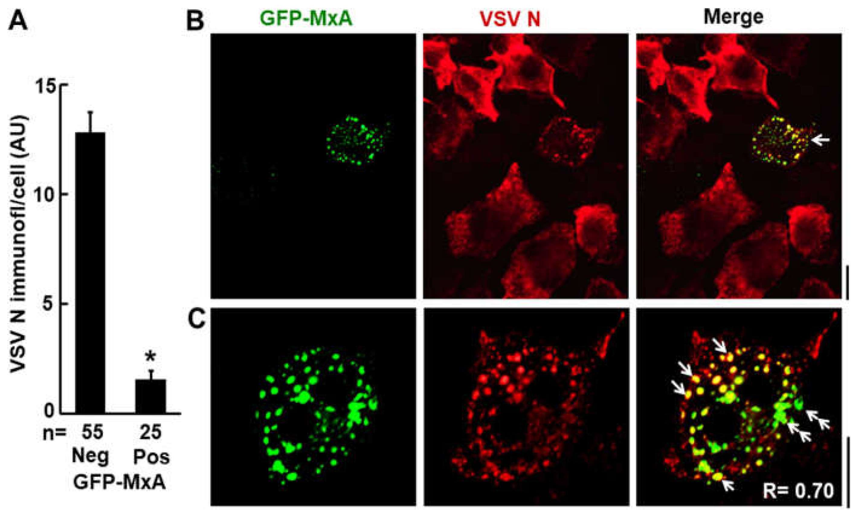 Preprints 119212 g003