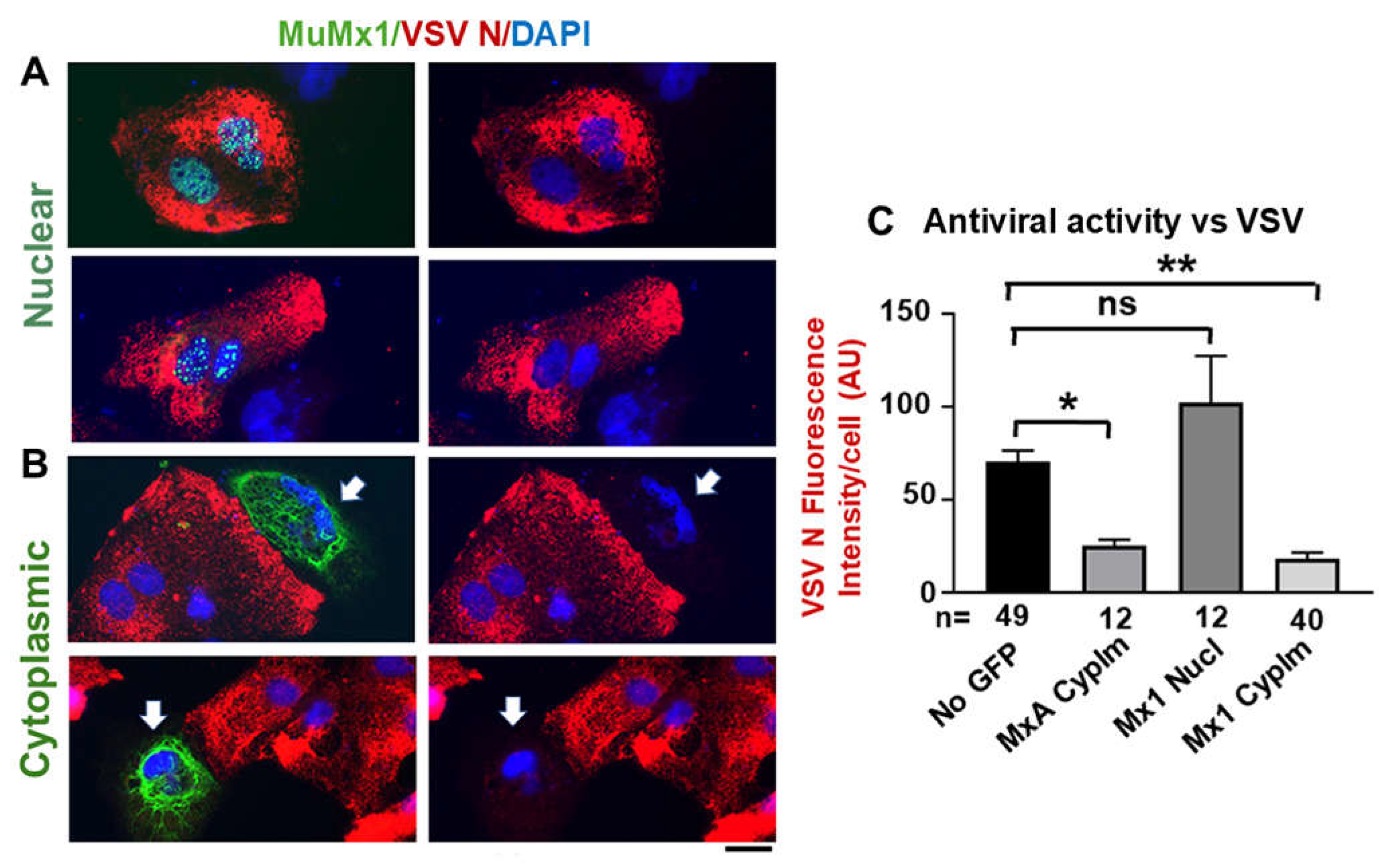 Preprints 119212 g005