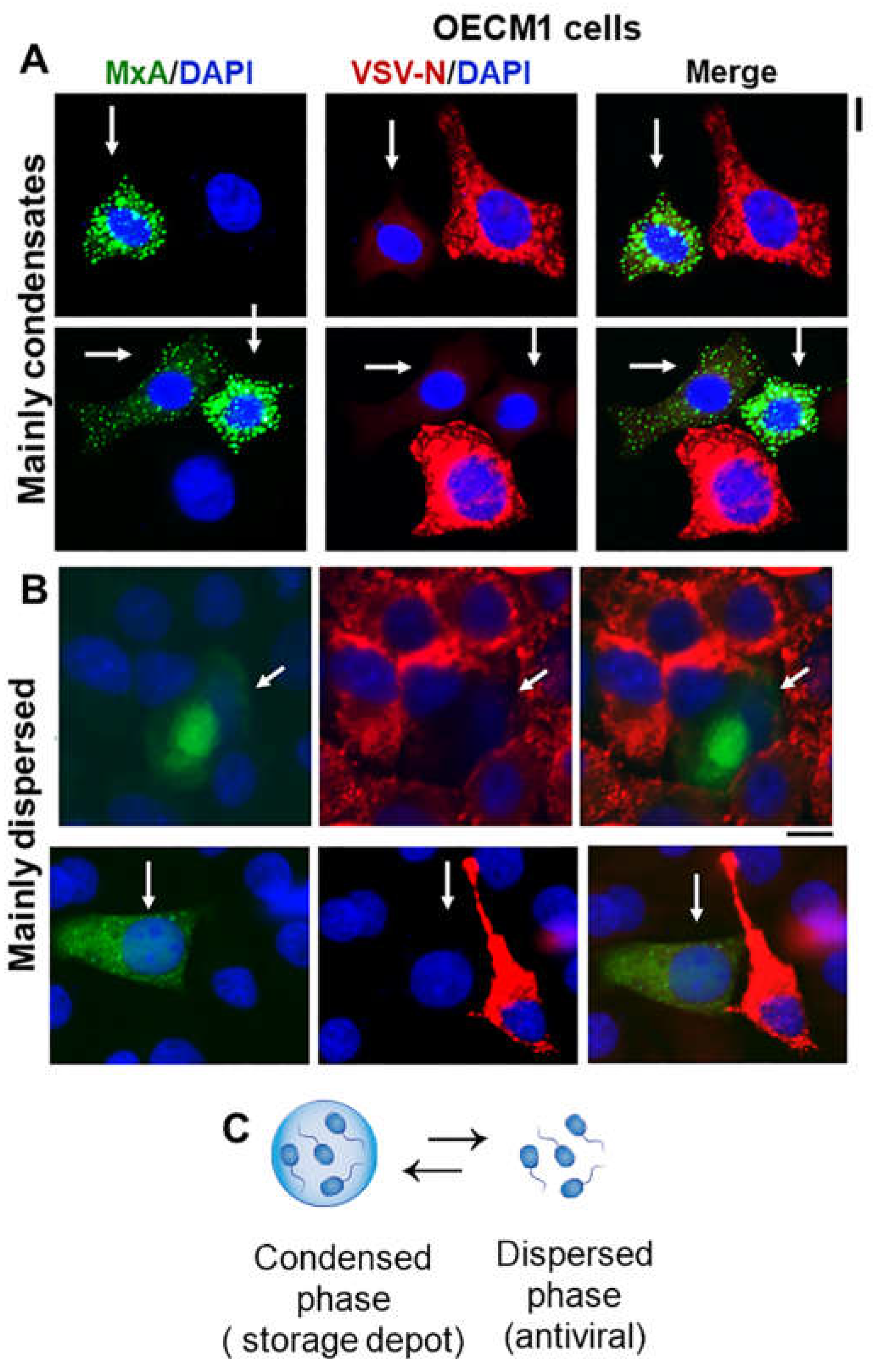 Preprints 119212 g006