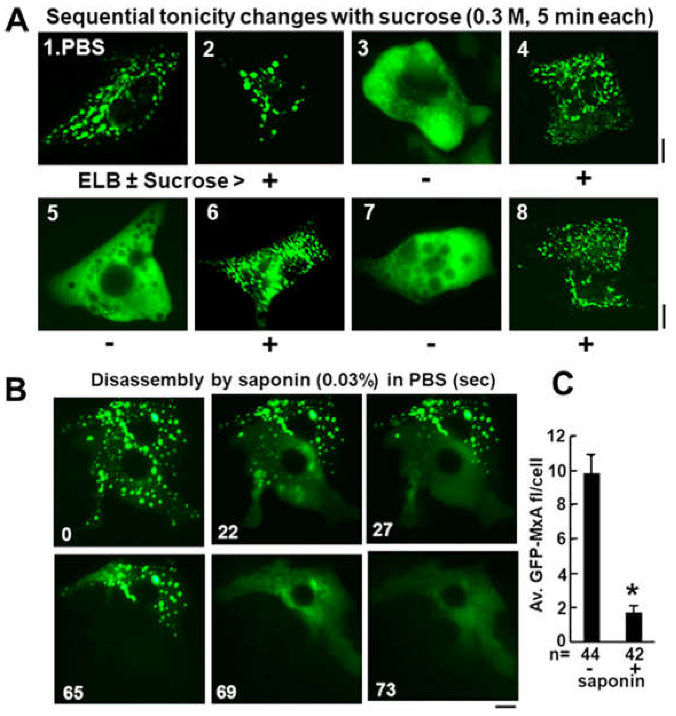 Preprints 119212 g007