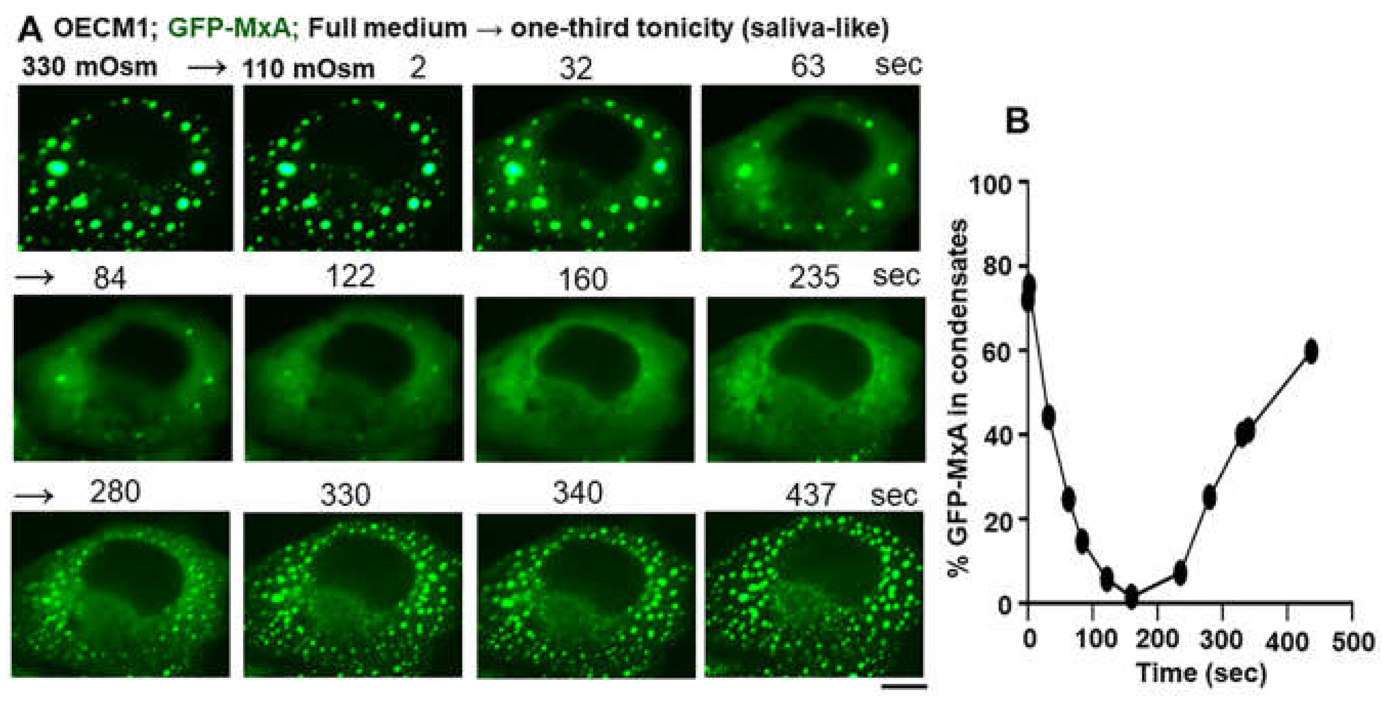 Preprints 119212 g008