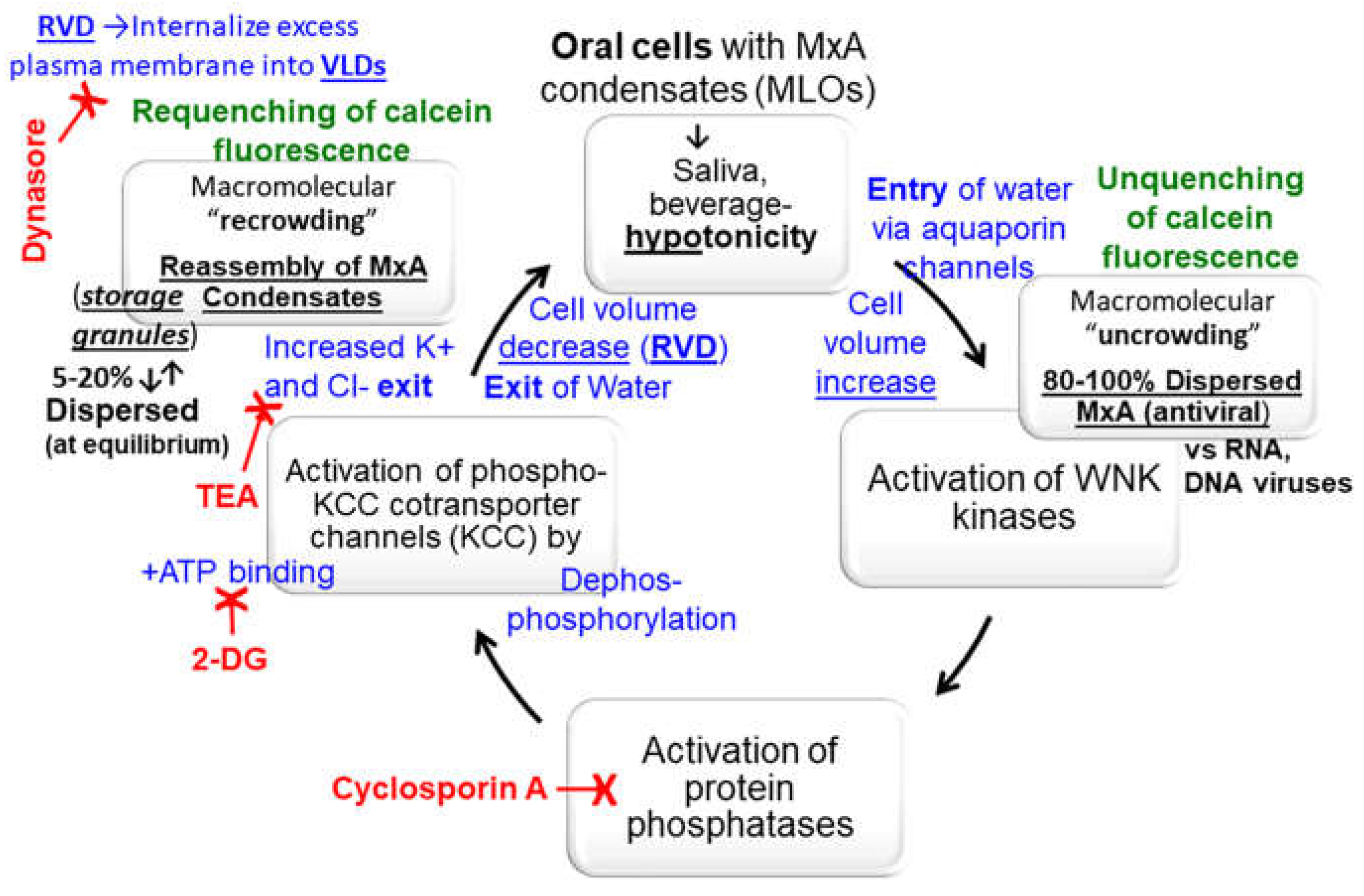 Preprints 119212 g009