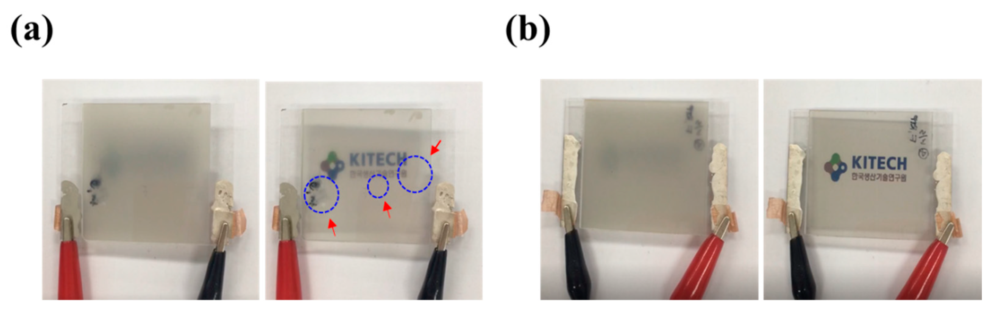 Preprints 80083 g004