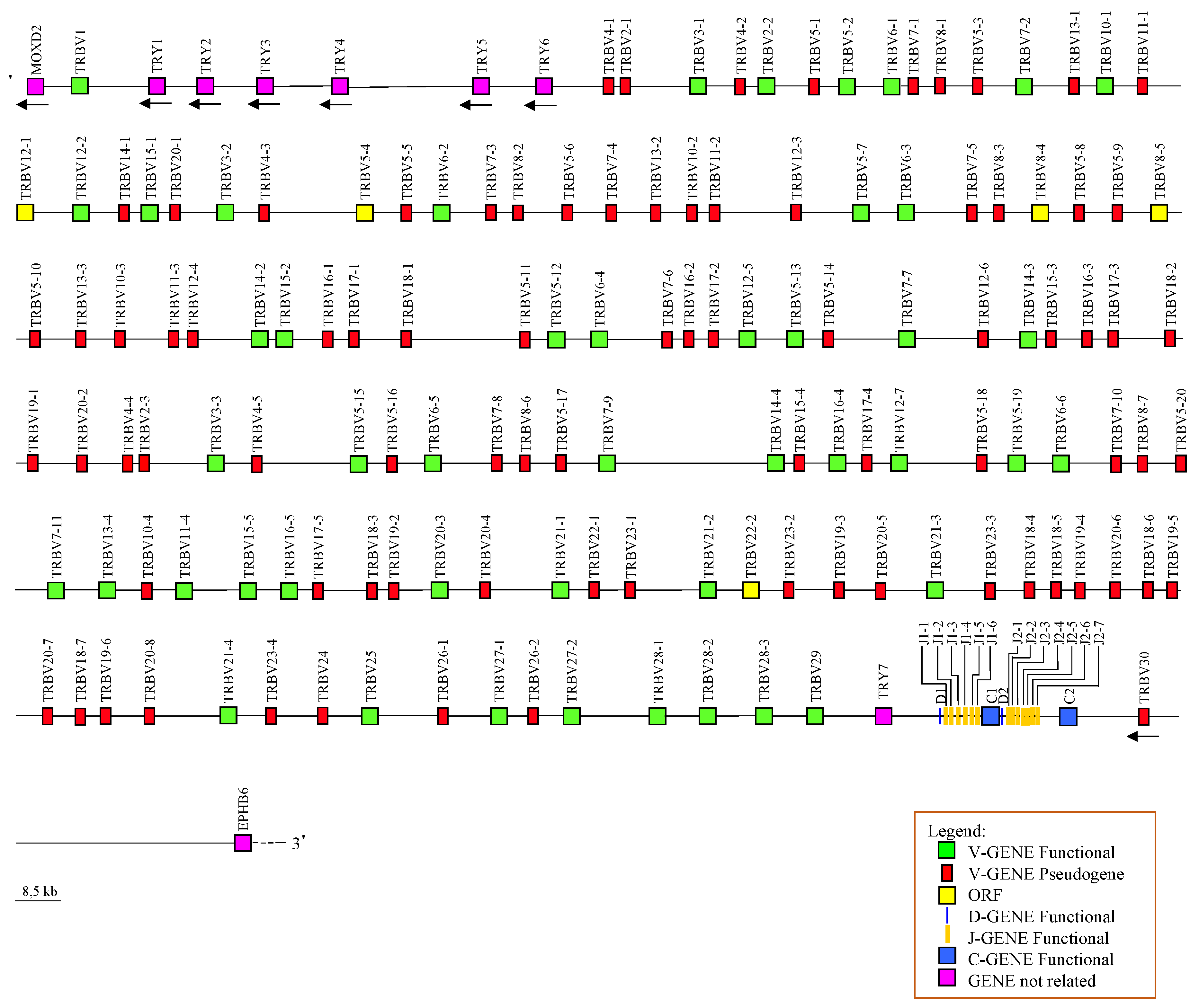 Preprints 114605 g001