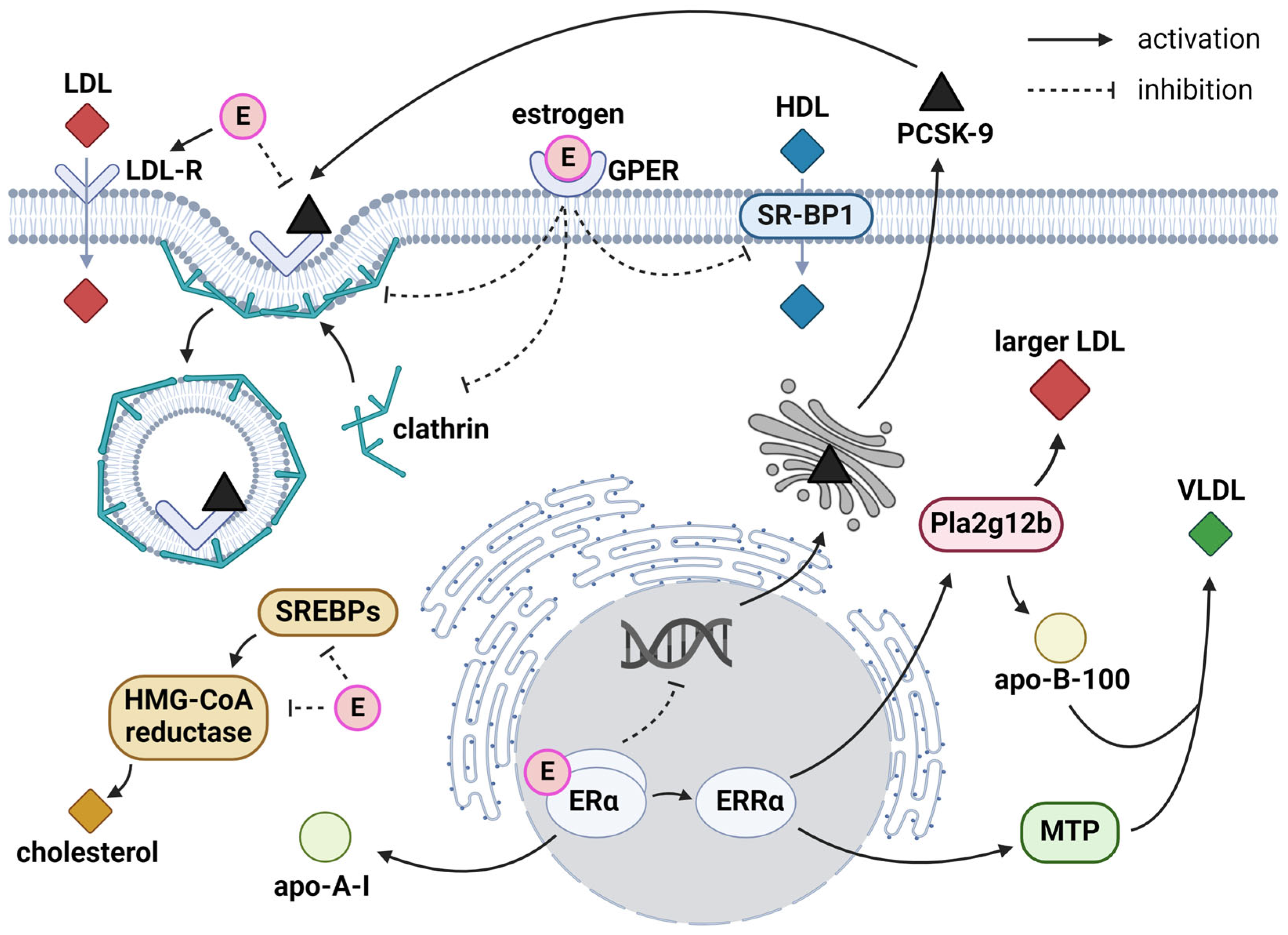 Preprints 110004 g001