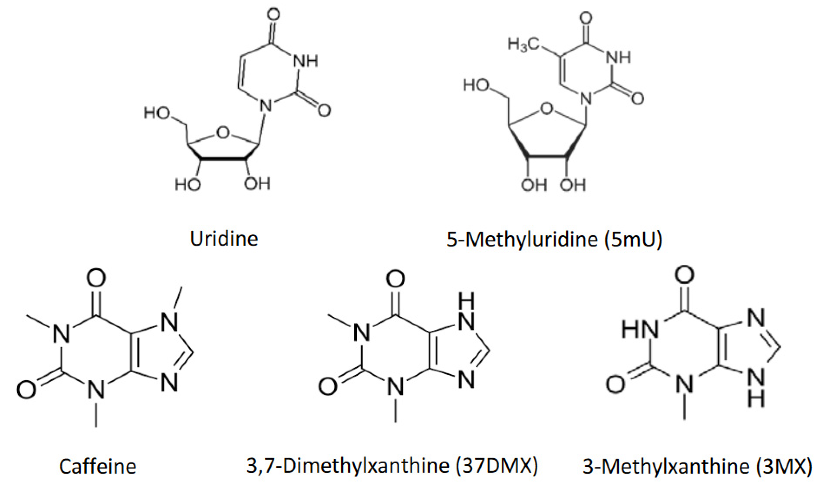 Preprints 81260 g001