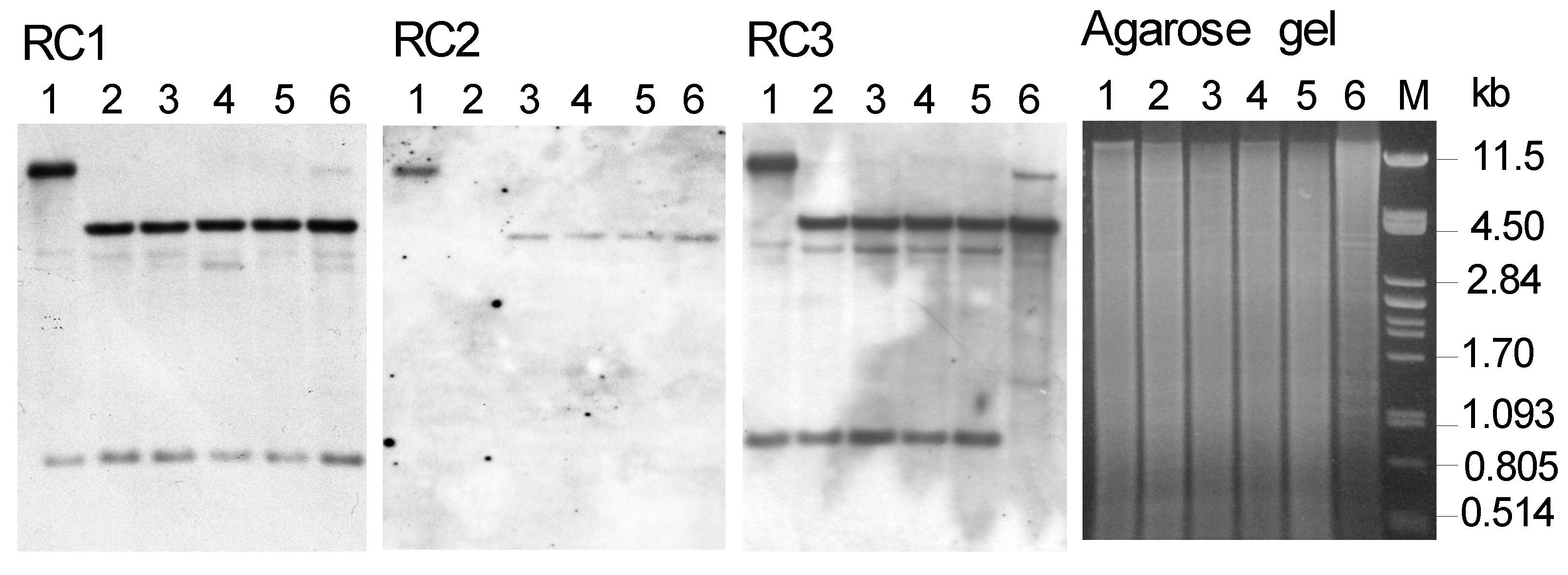 Preprints 94623 g002