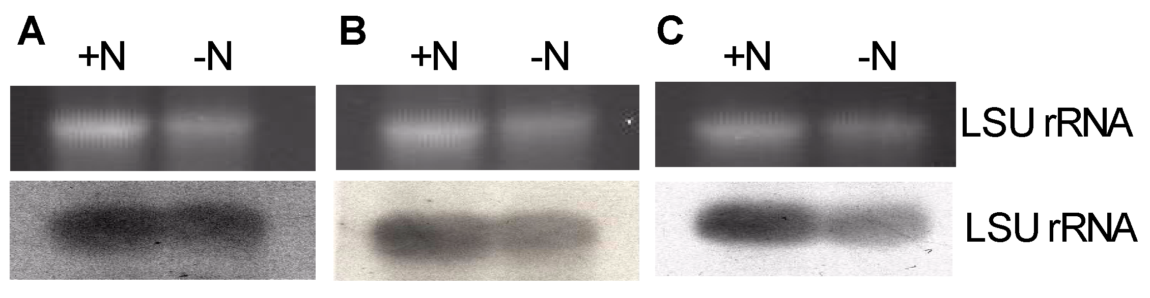 Preprints 94623 g003