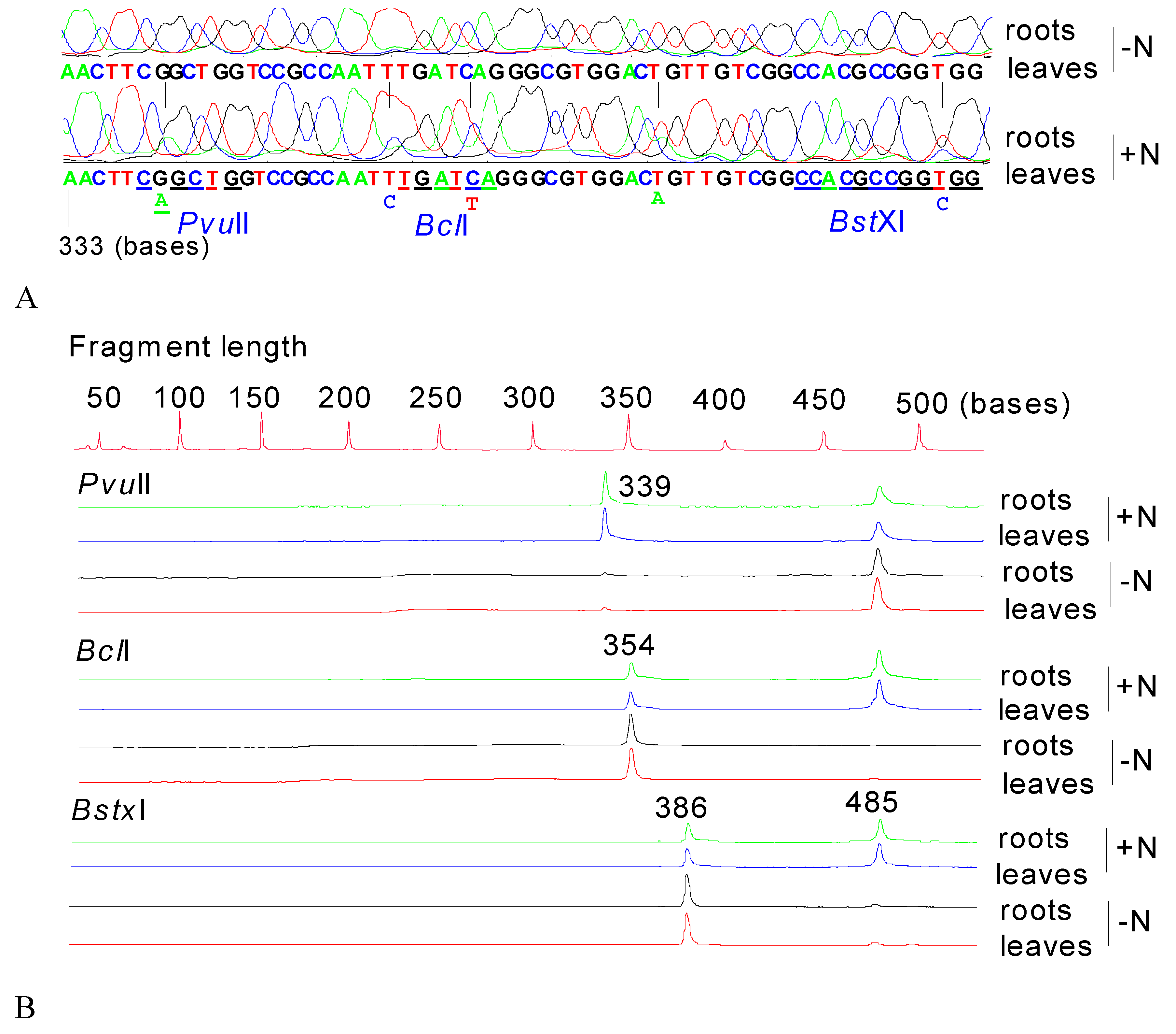 Preprints 94623 g005