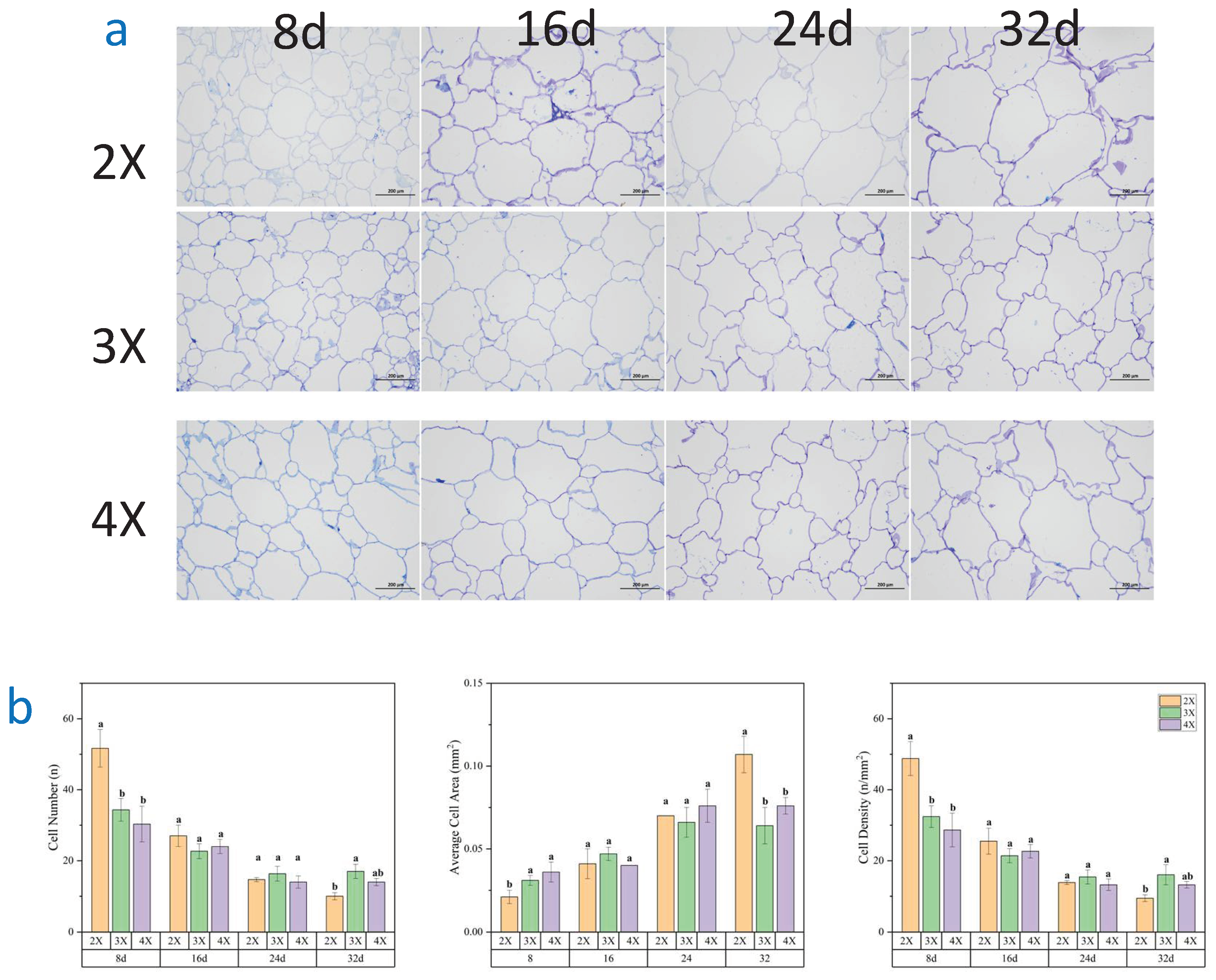 Preprints 93776 g006