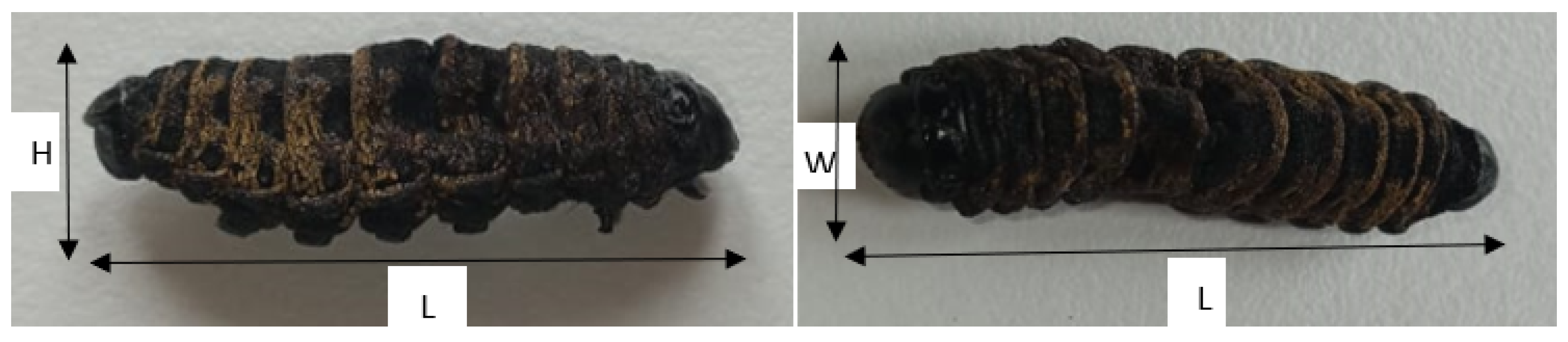 Preprints 107197 g001