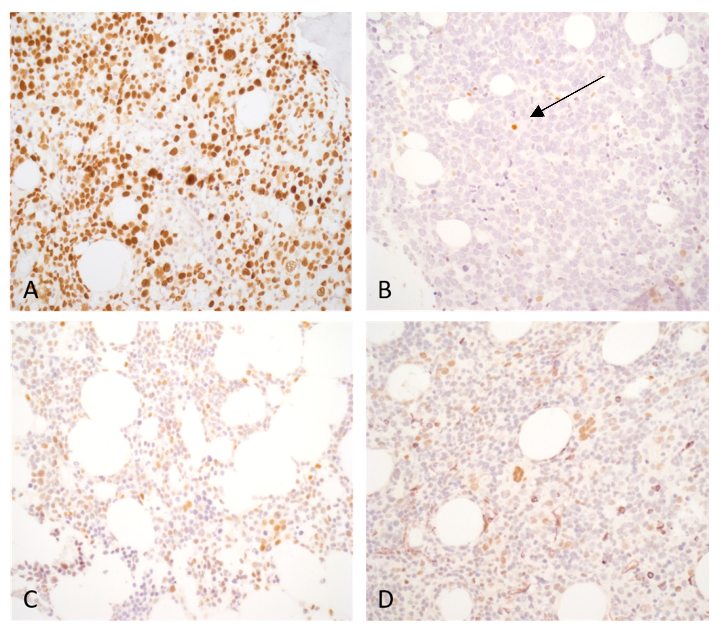 Preprints 83877 g002