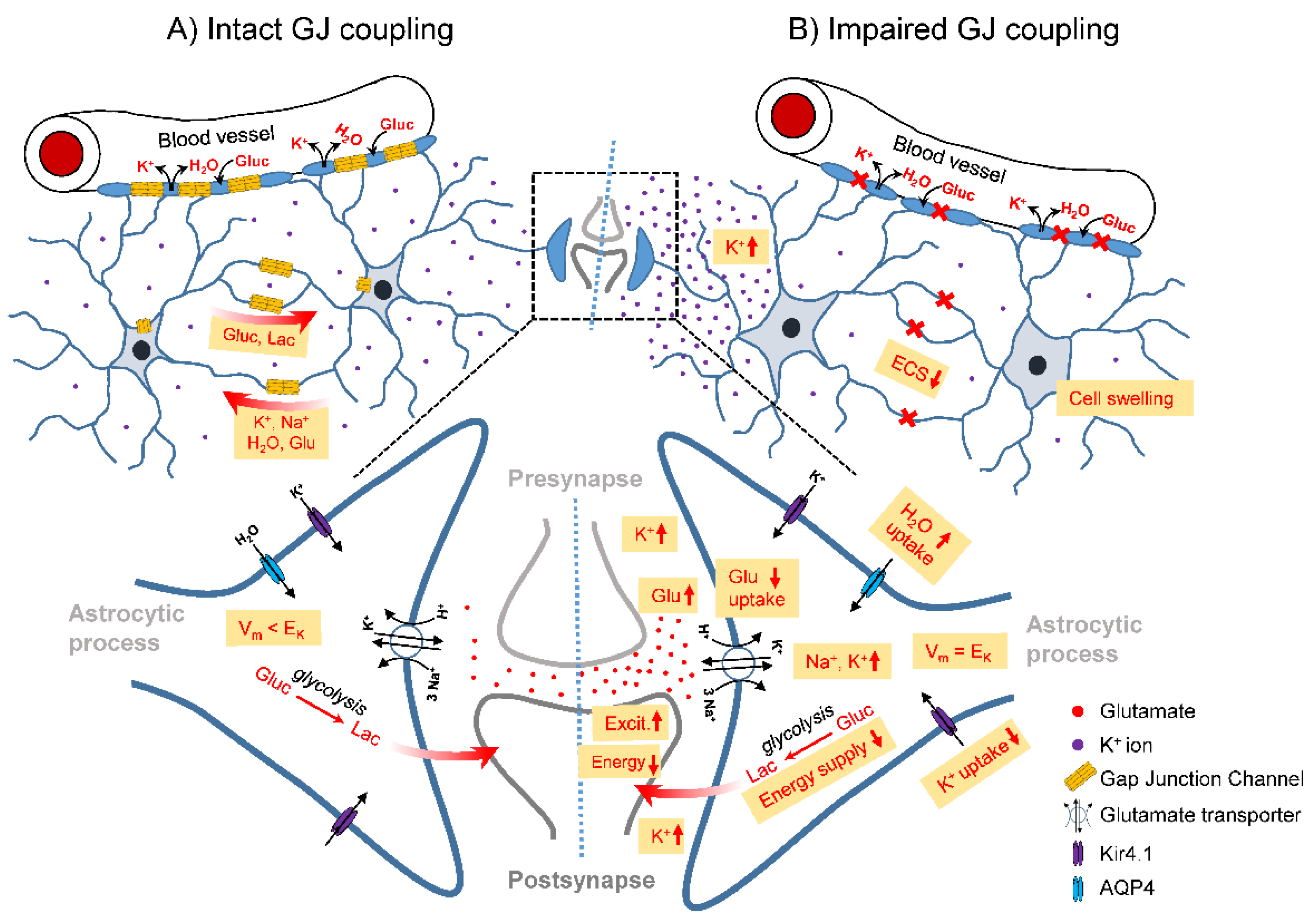 Preprints 67943 g001