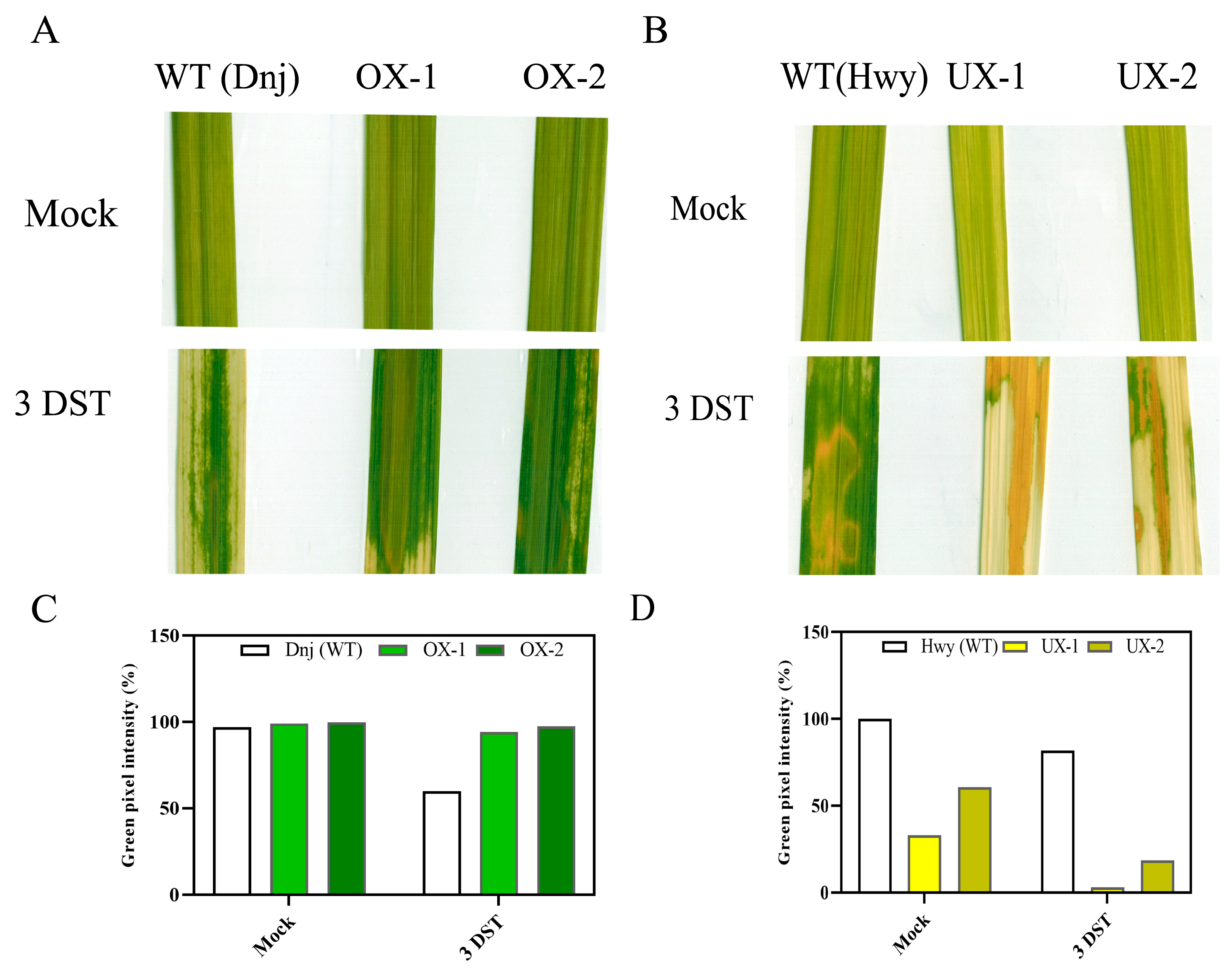 Preprints 74768 g002