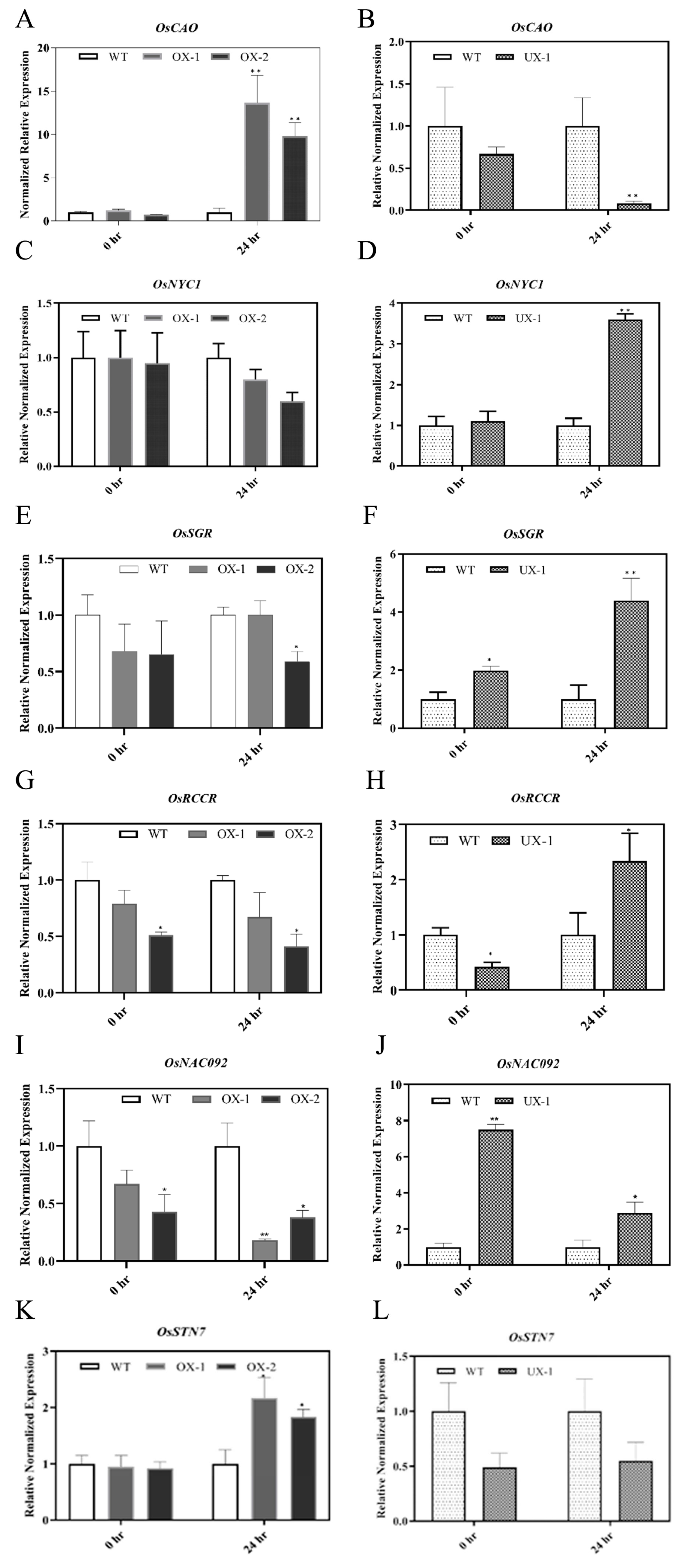 Preprints 74768 g003