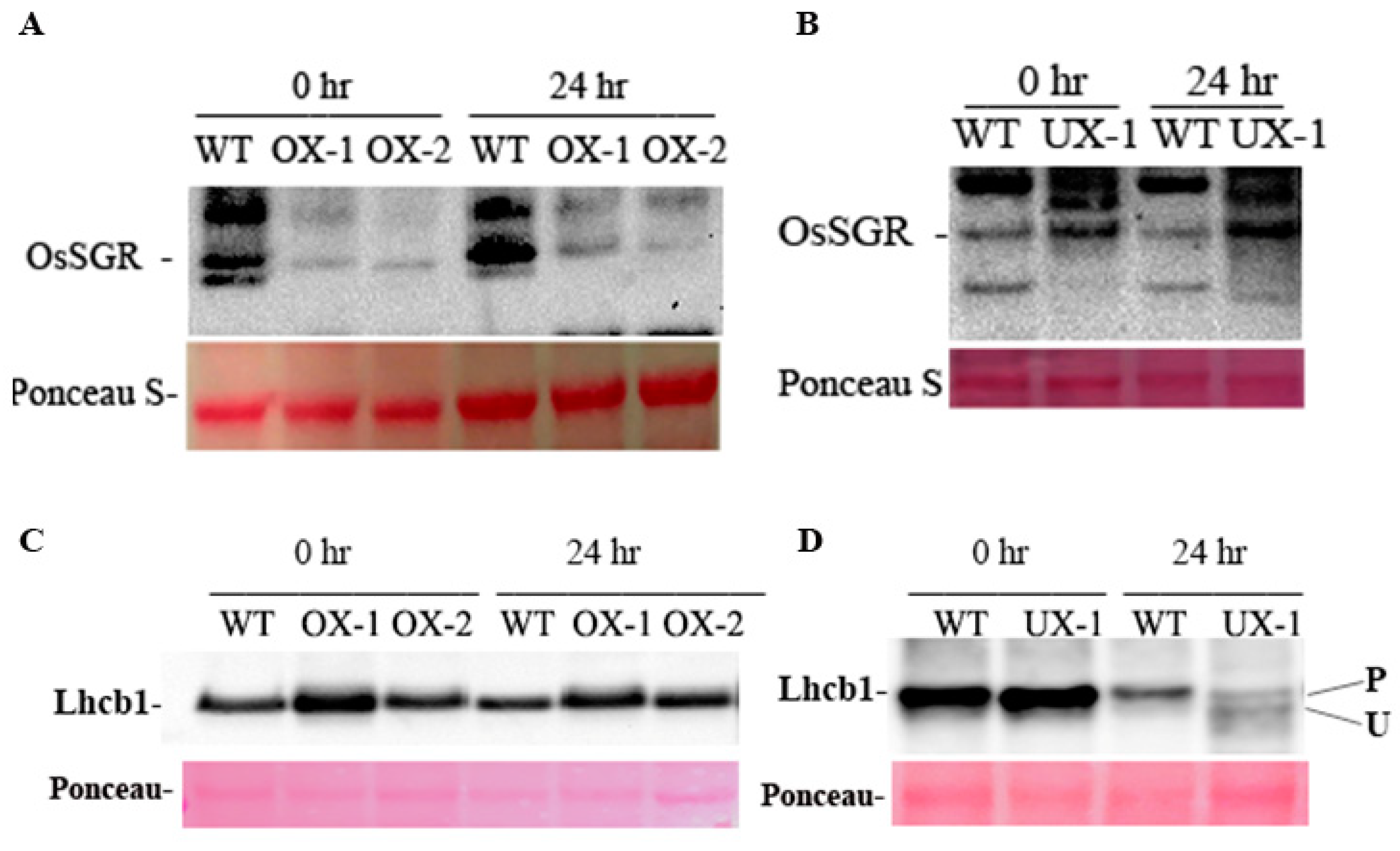 Preprints 74768 g004