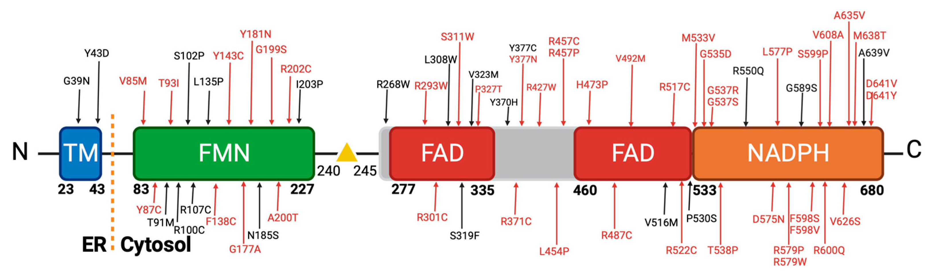 Preprints 90038 g004