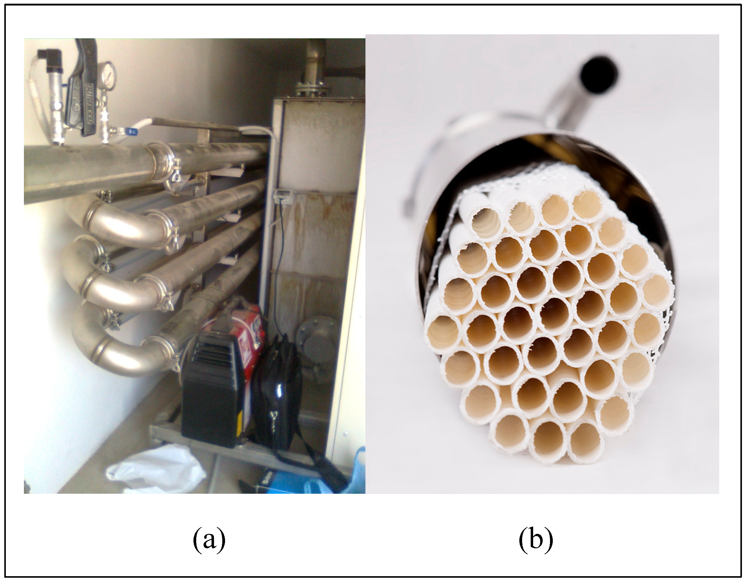 Preprints 107795 g004