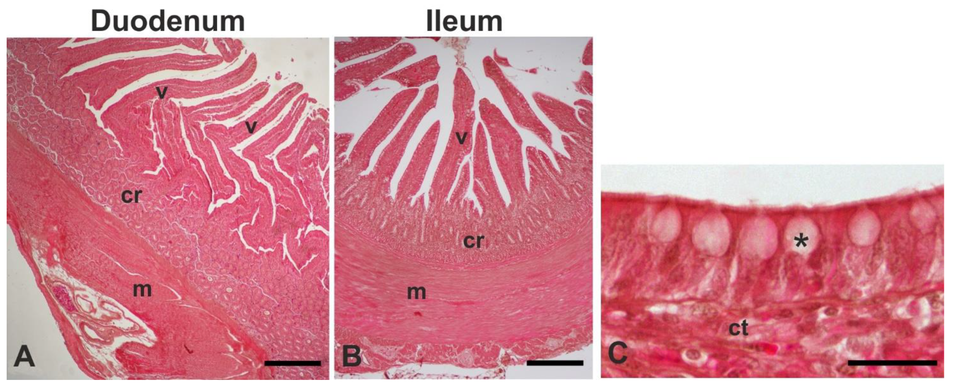 Preprints 73490 g001