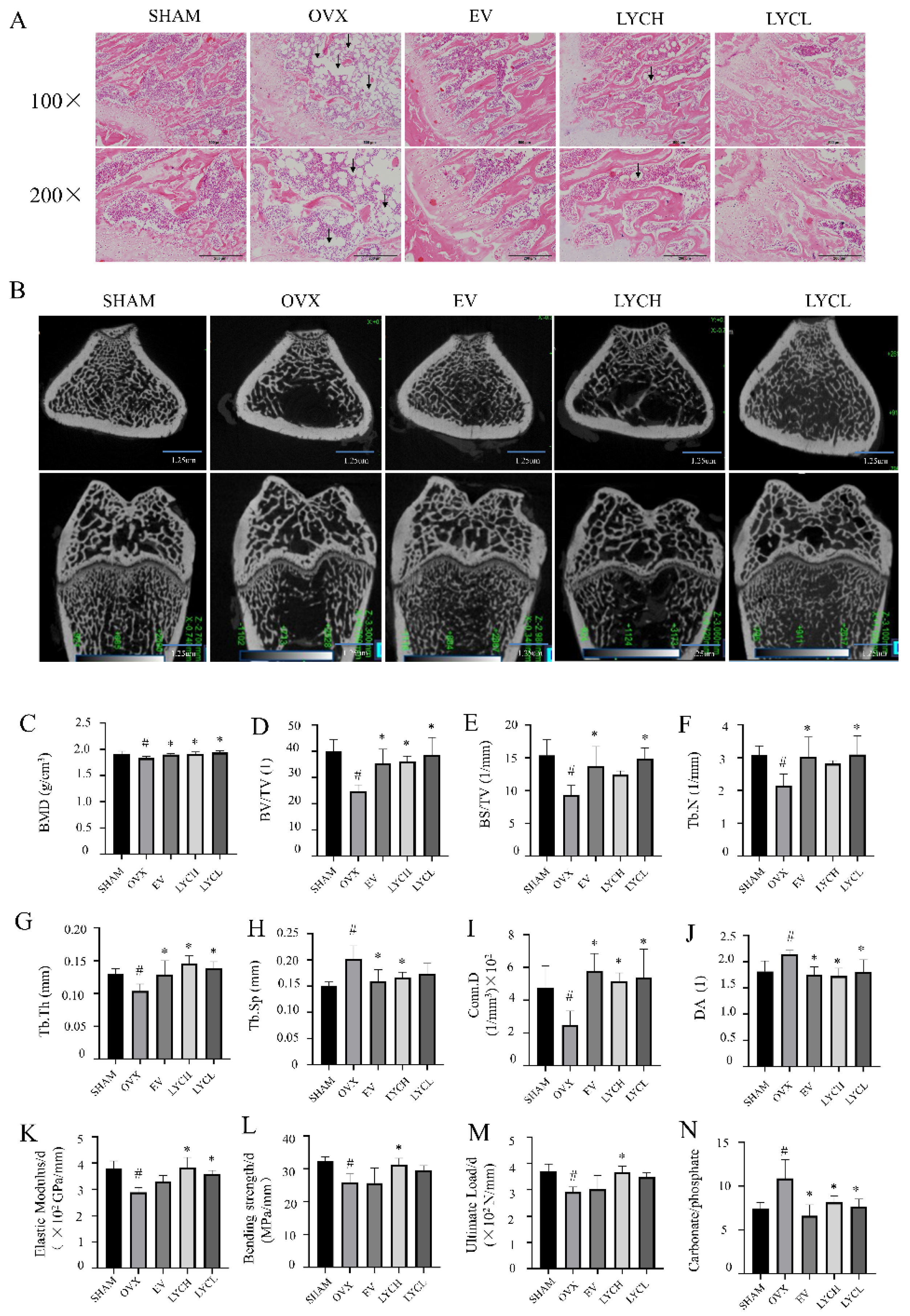 Preprints 102987 g001