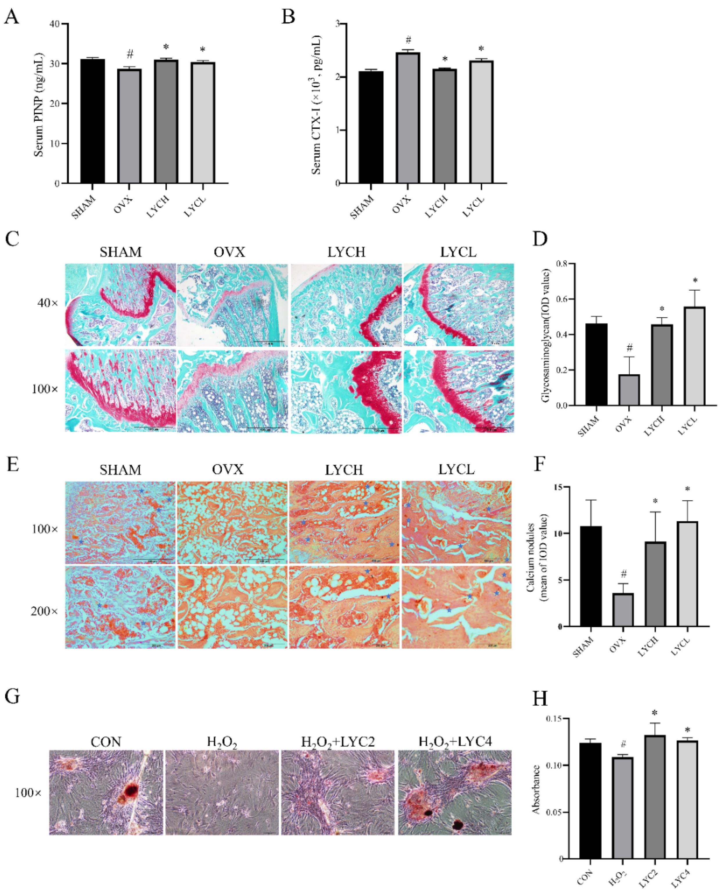 Preprints 102987 g004