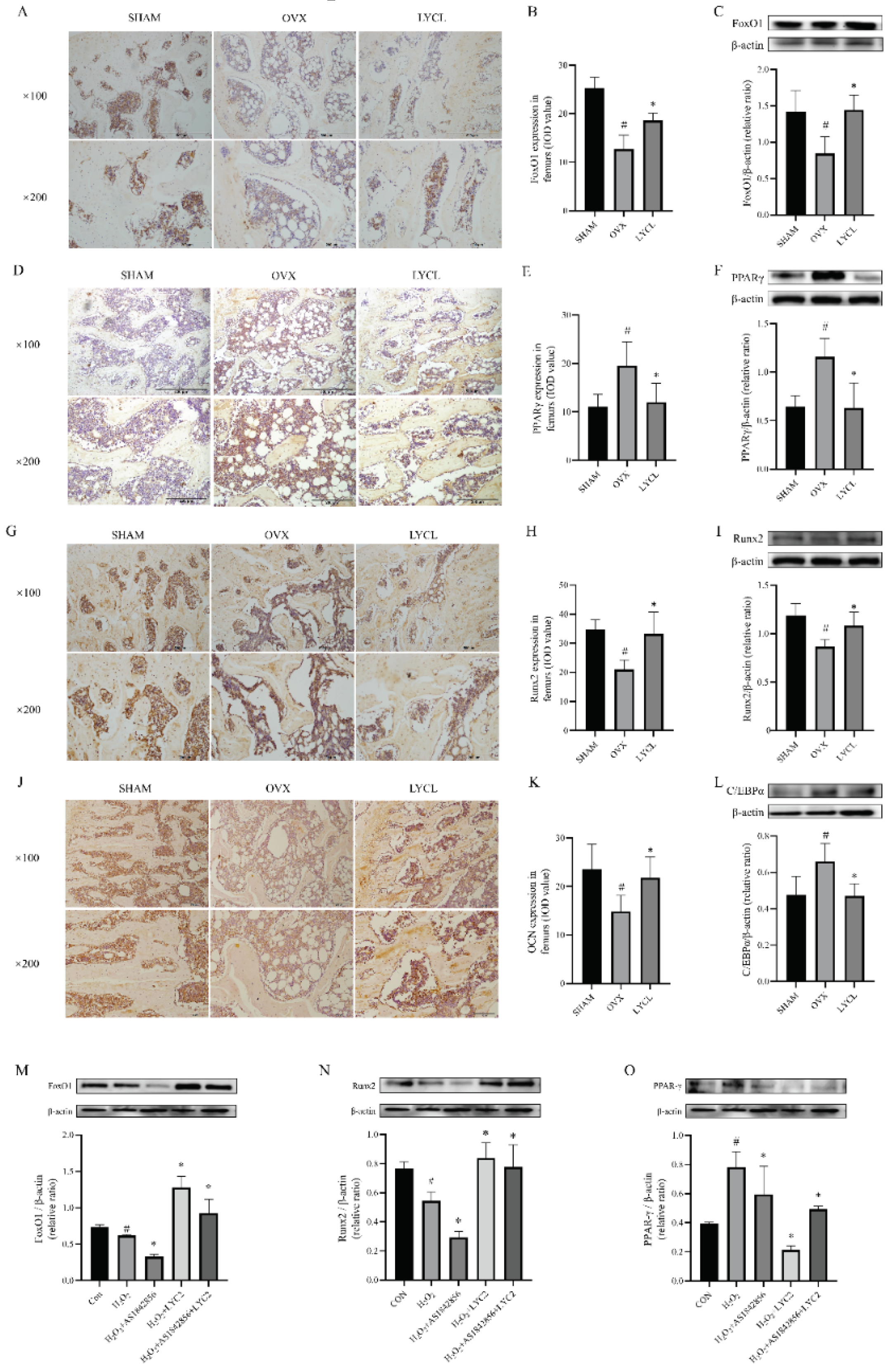 Preprints 102987 g005