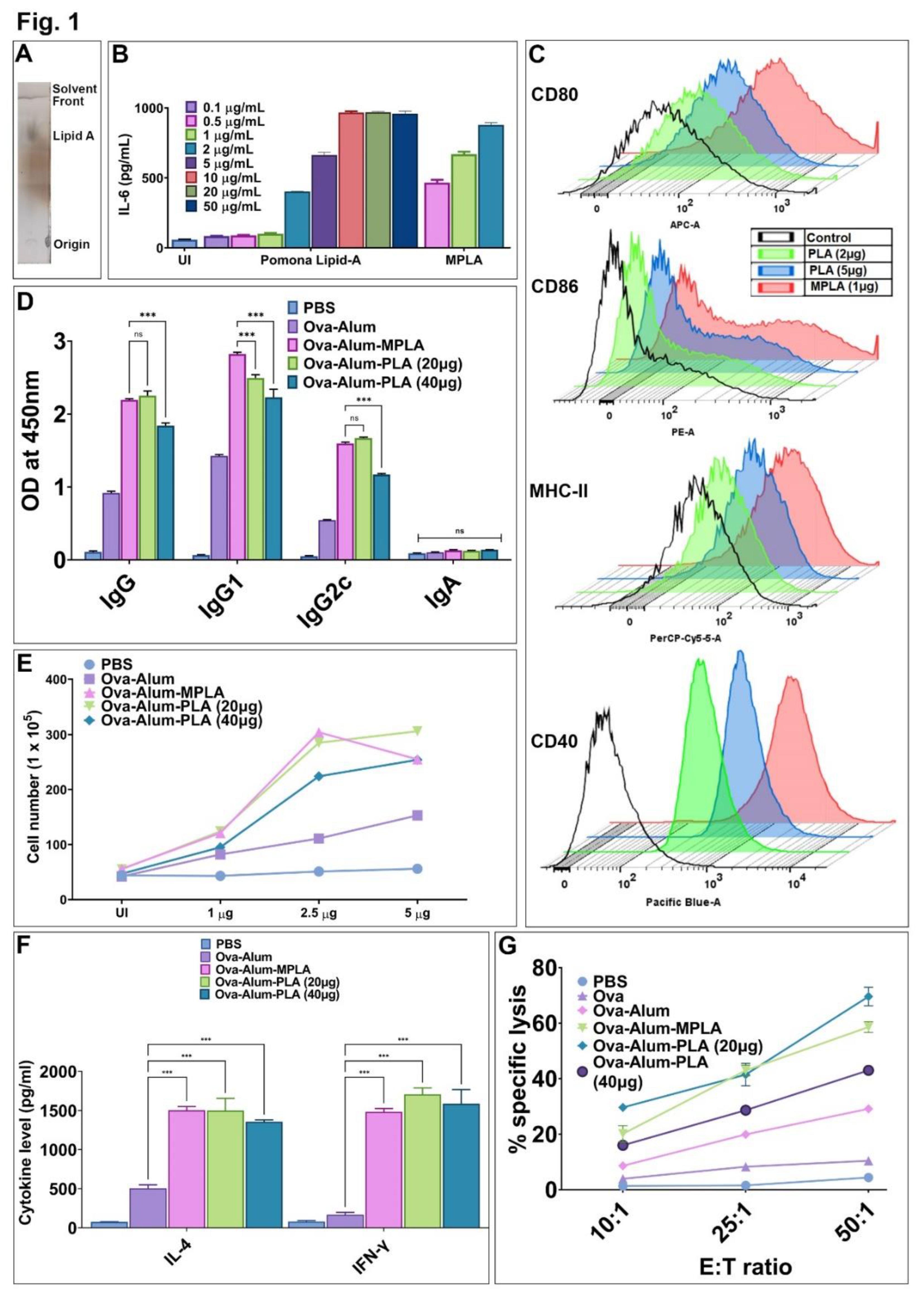 Preprints 79994 g001