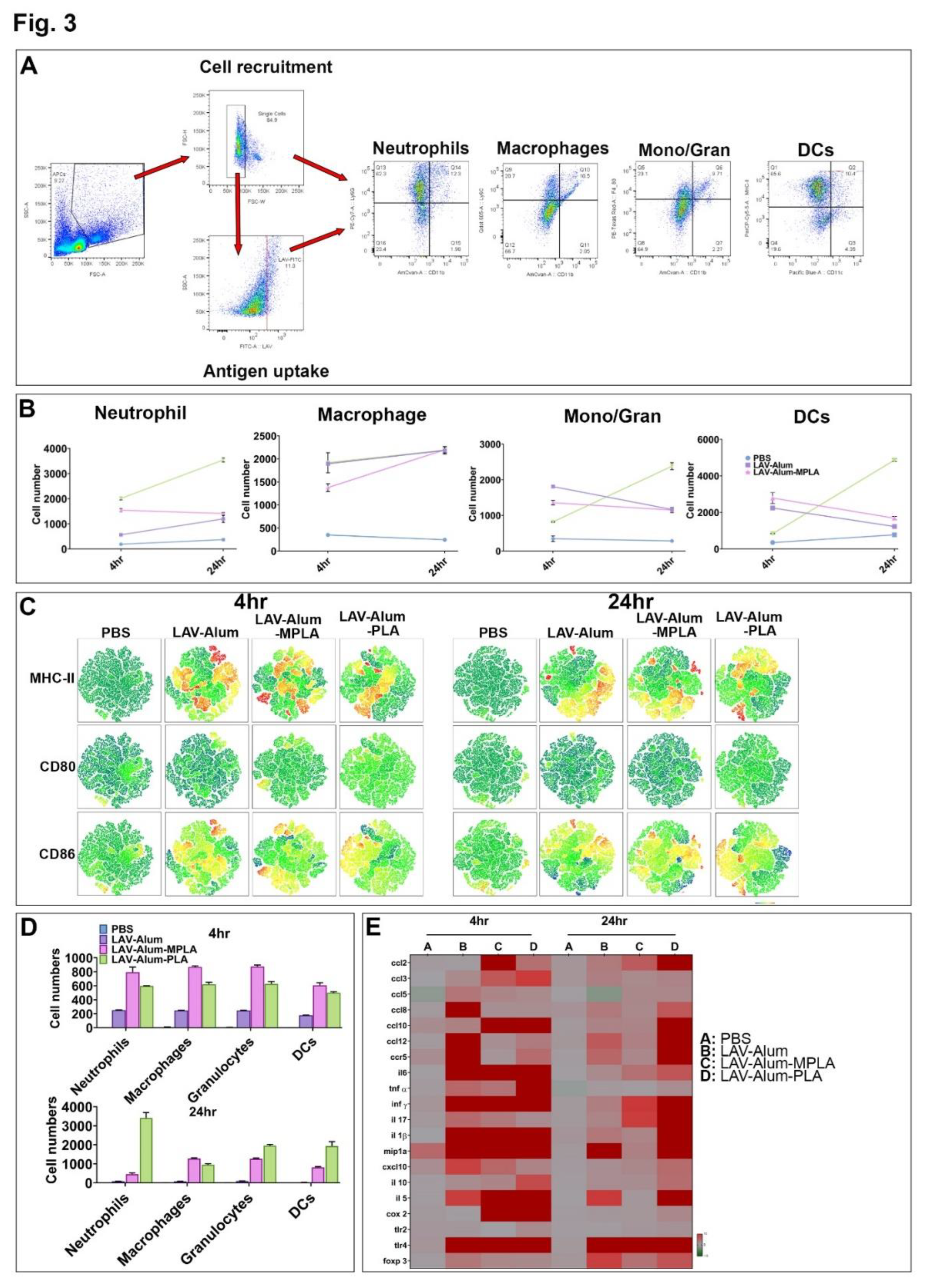 Preprints 79994 g003