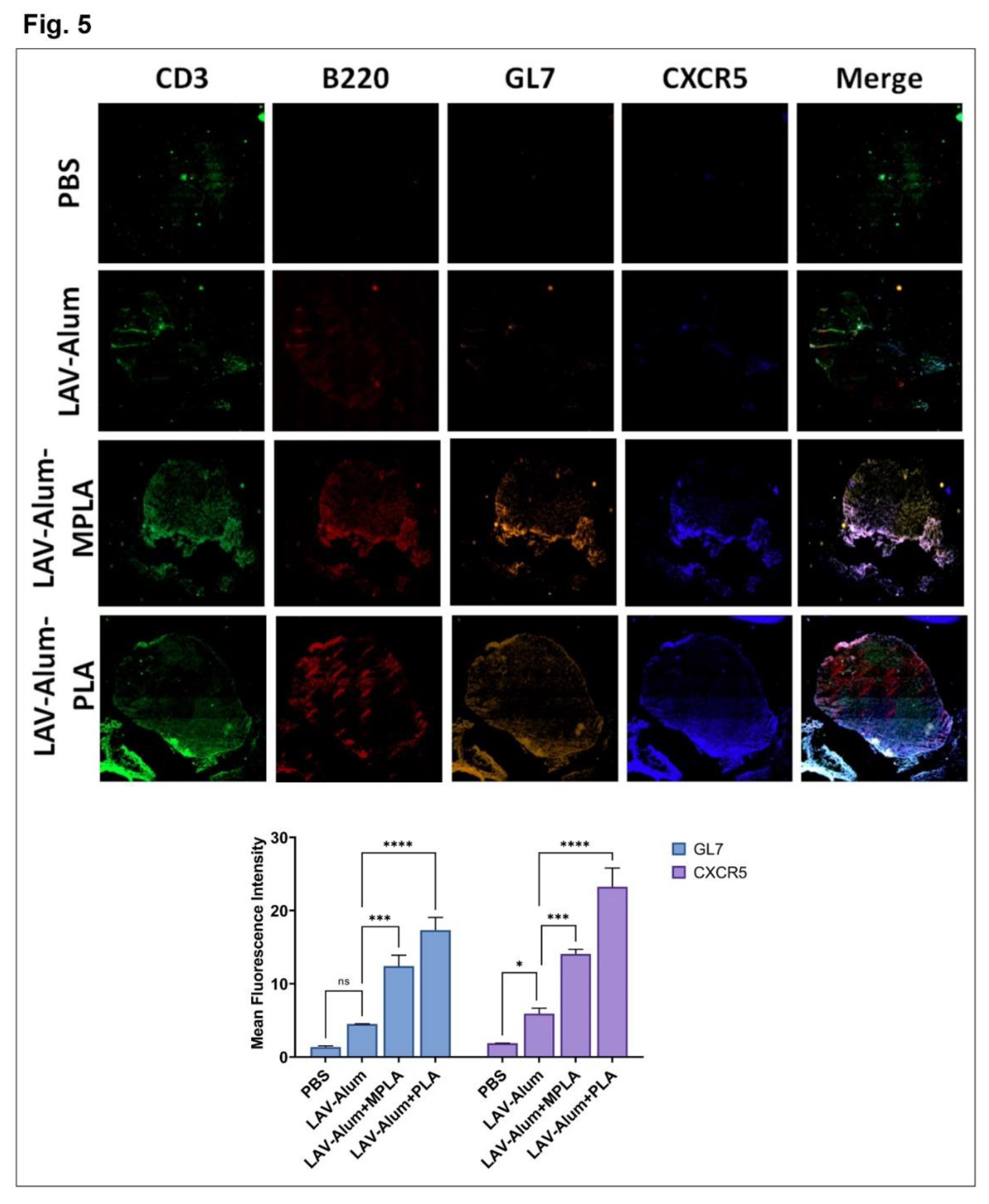 Preprints 79994 g005