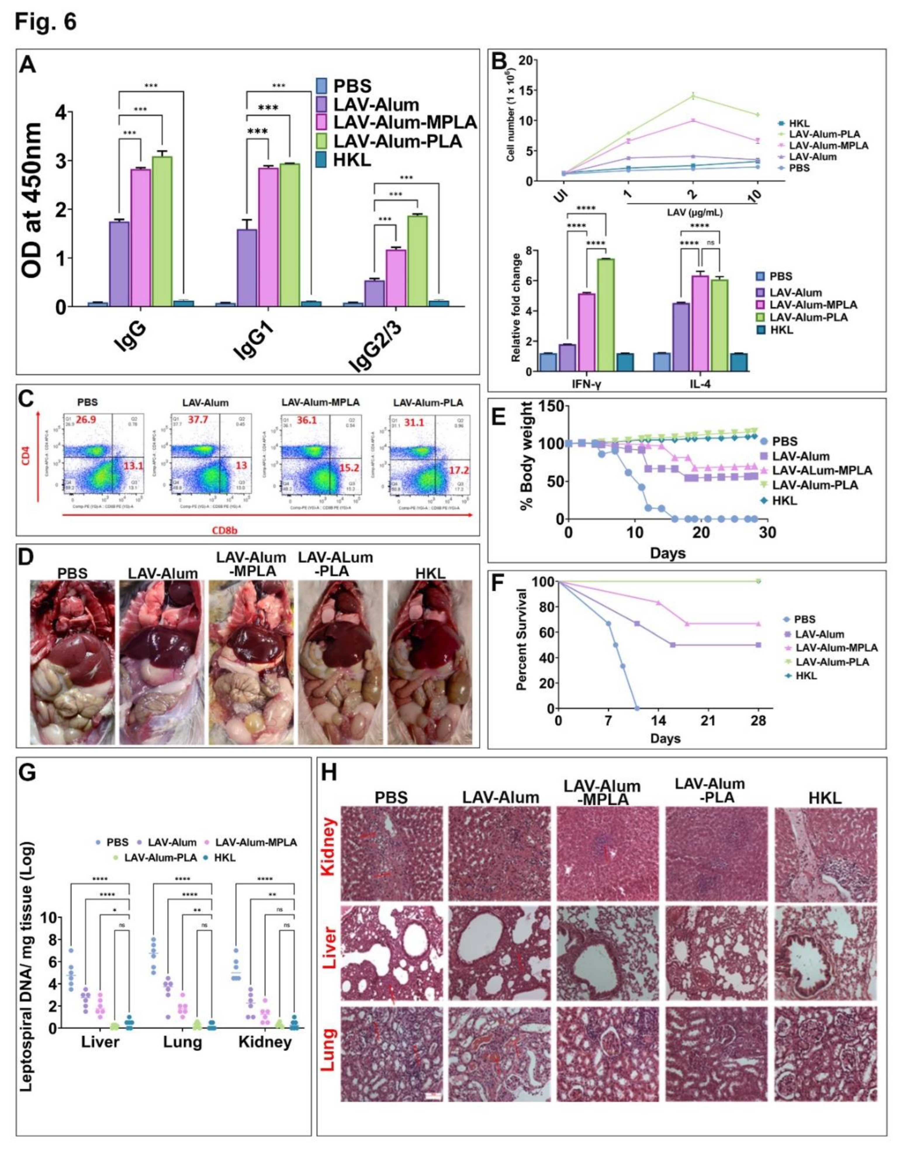 Preprints 79994 g006