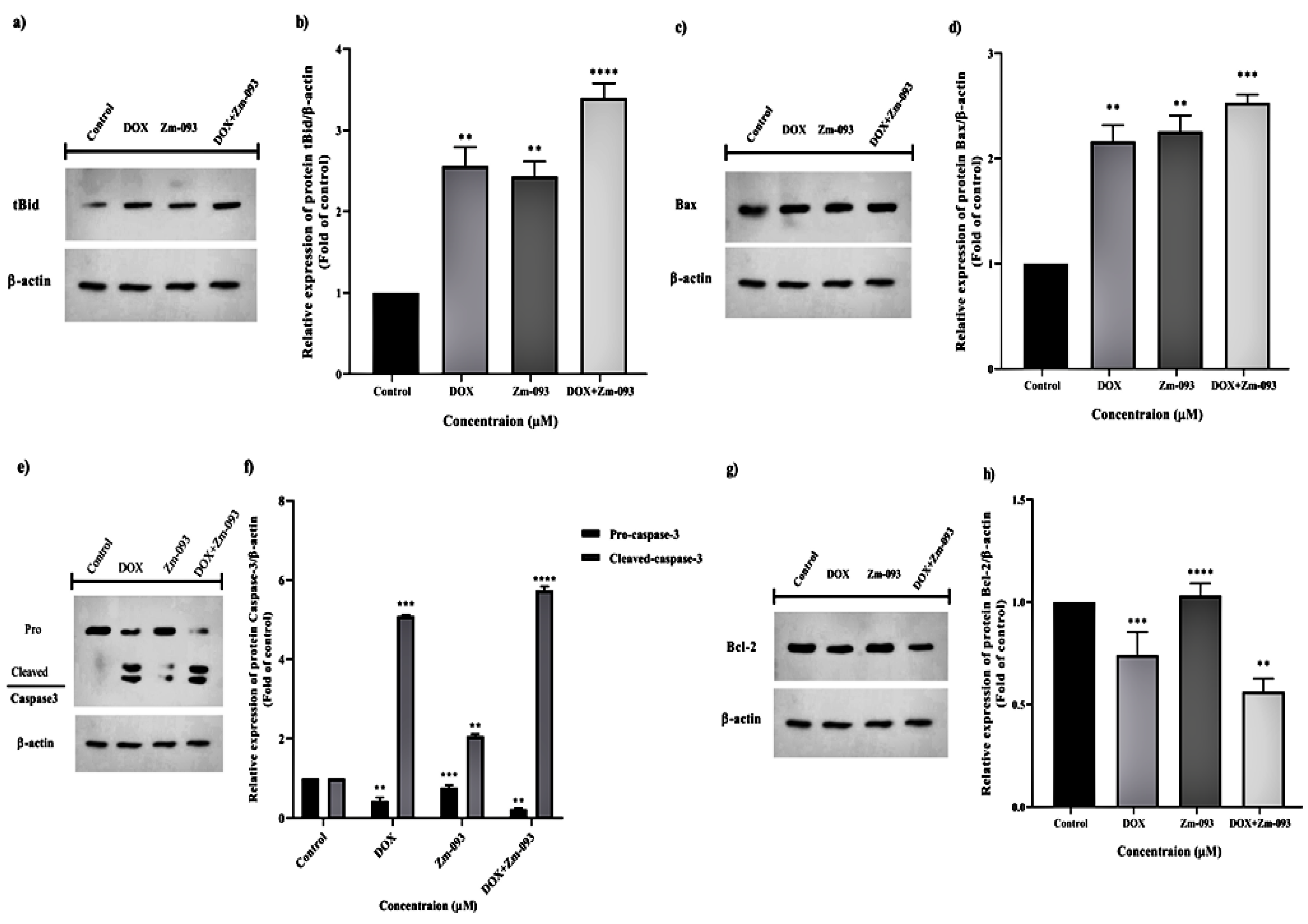 Preprints 99522 g004