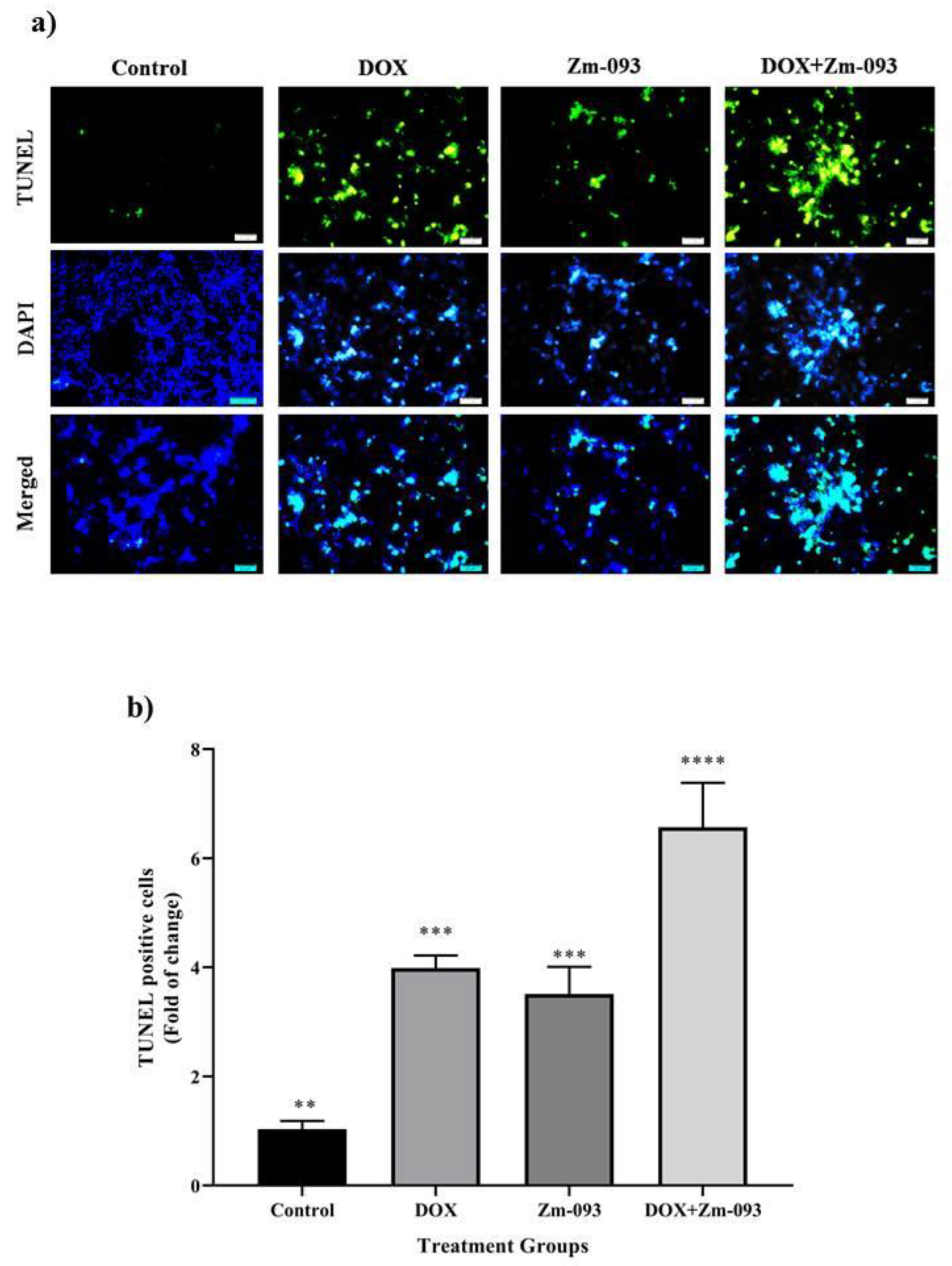 Preprints 99522 g006