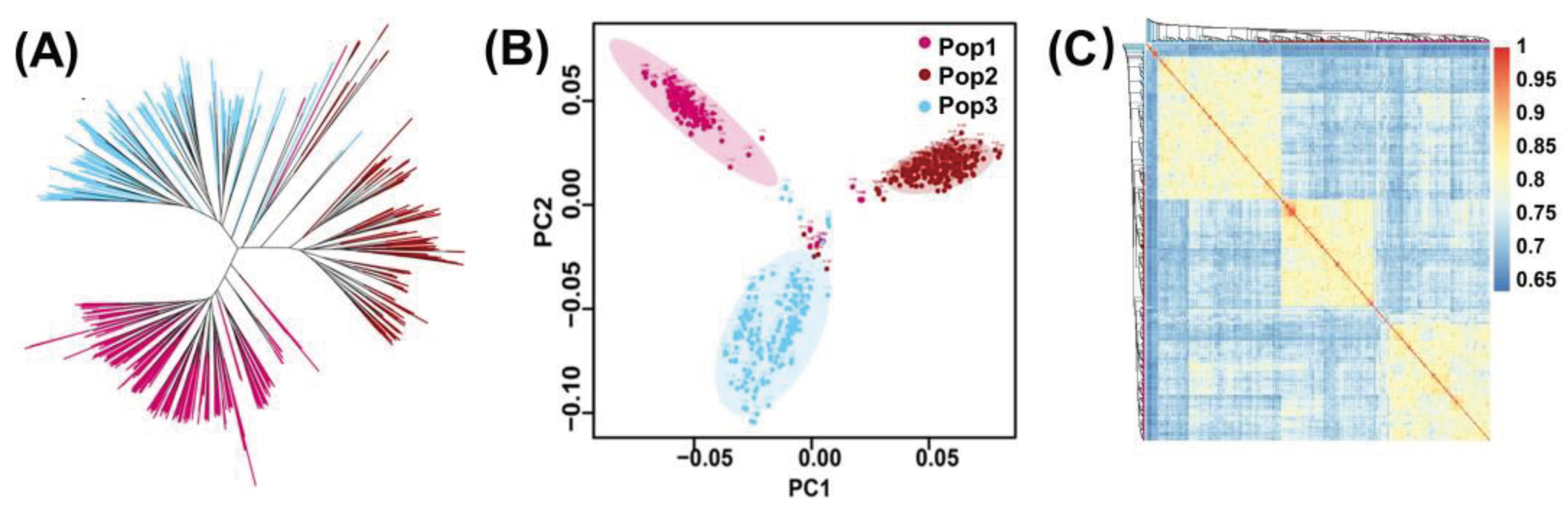 Preprints 100407 g004