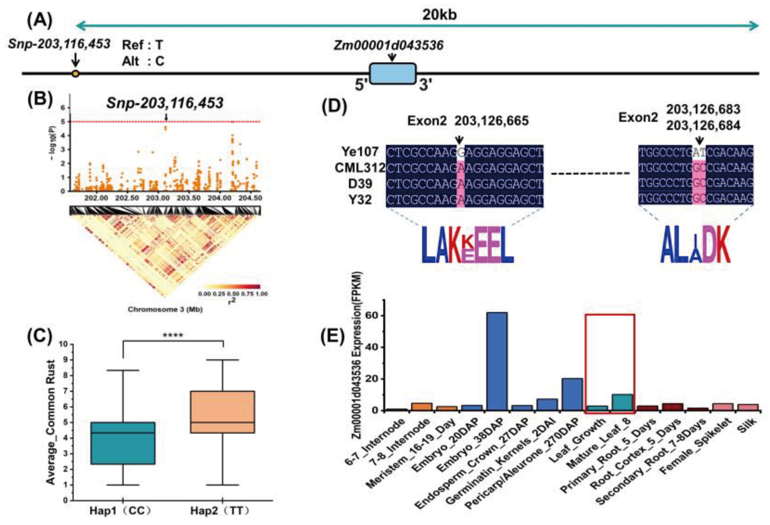 Preprints 100407 g006