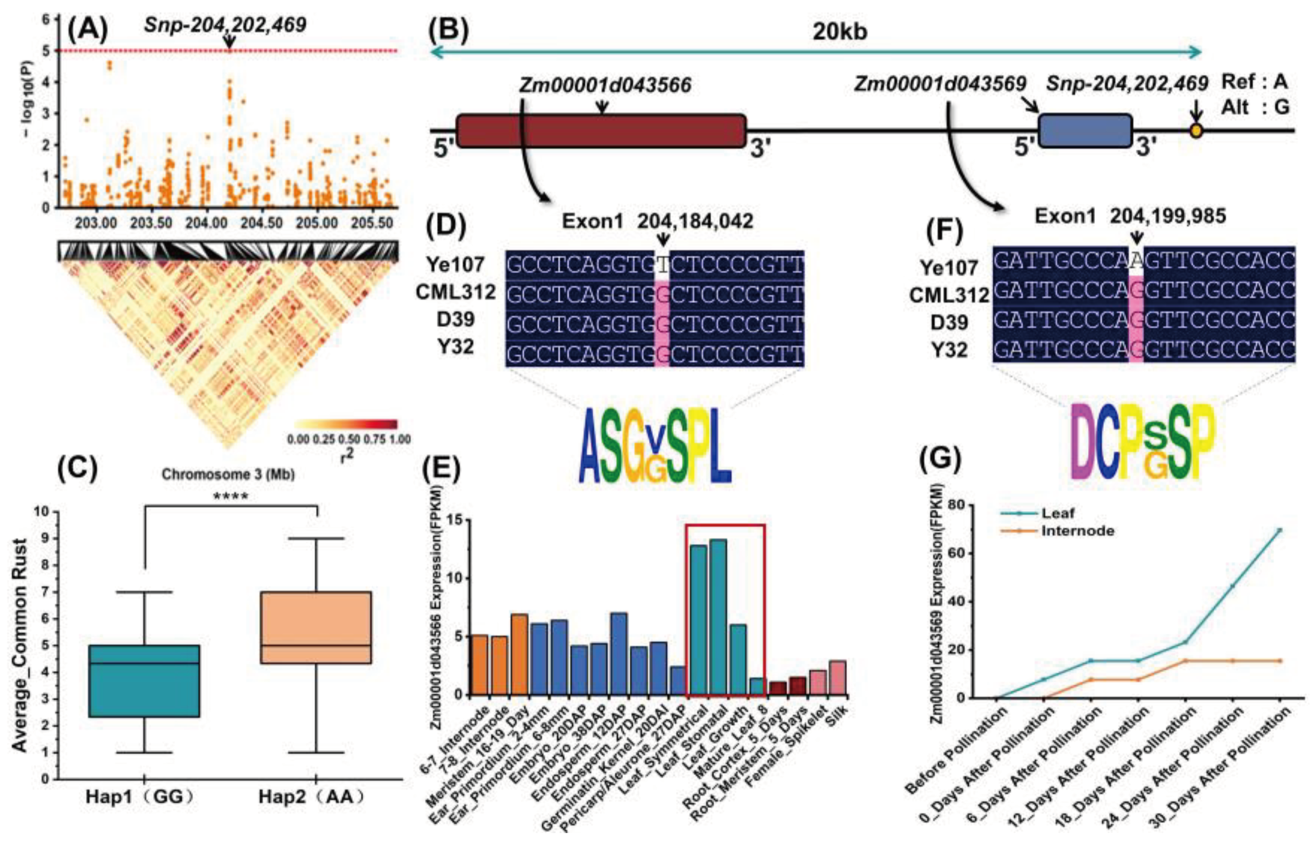 Preprints 100407 g007