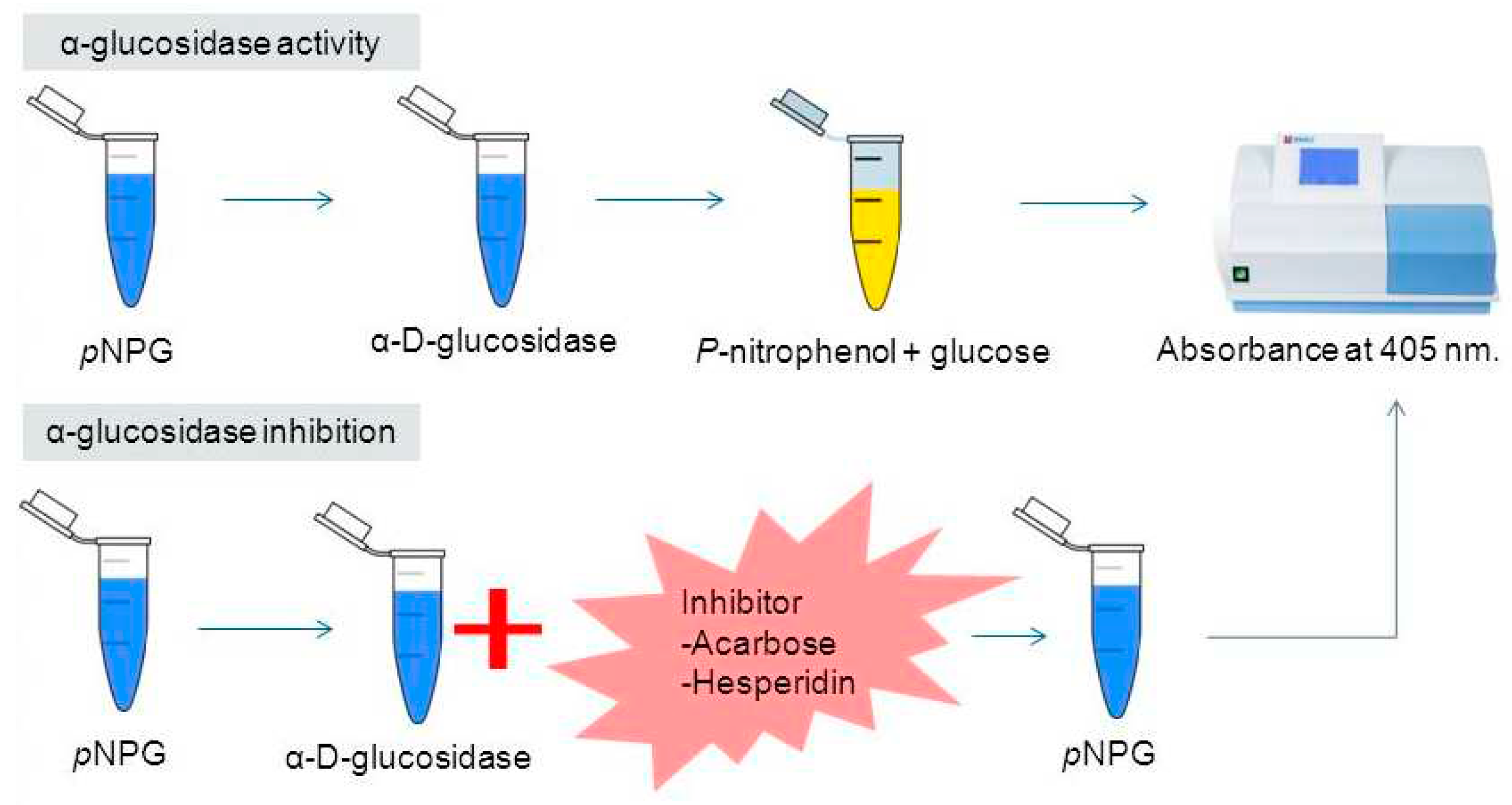 Preprints 81059 g004