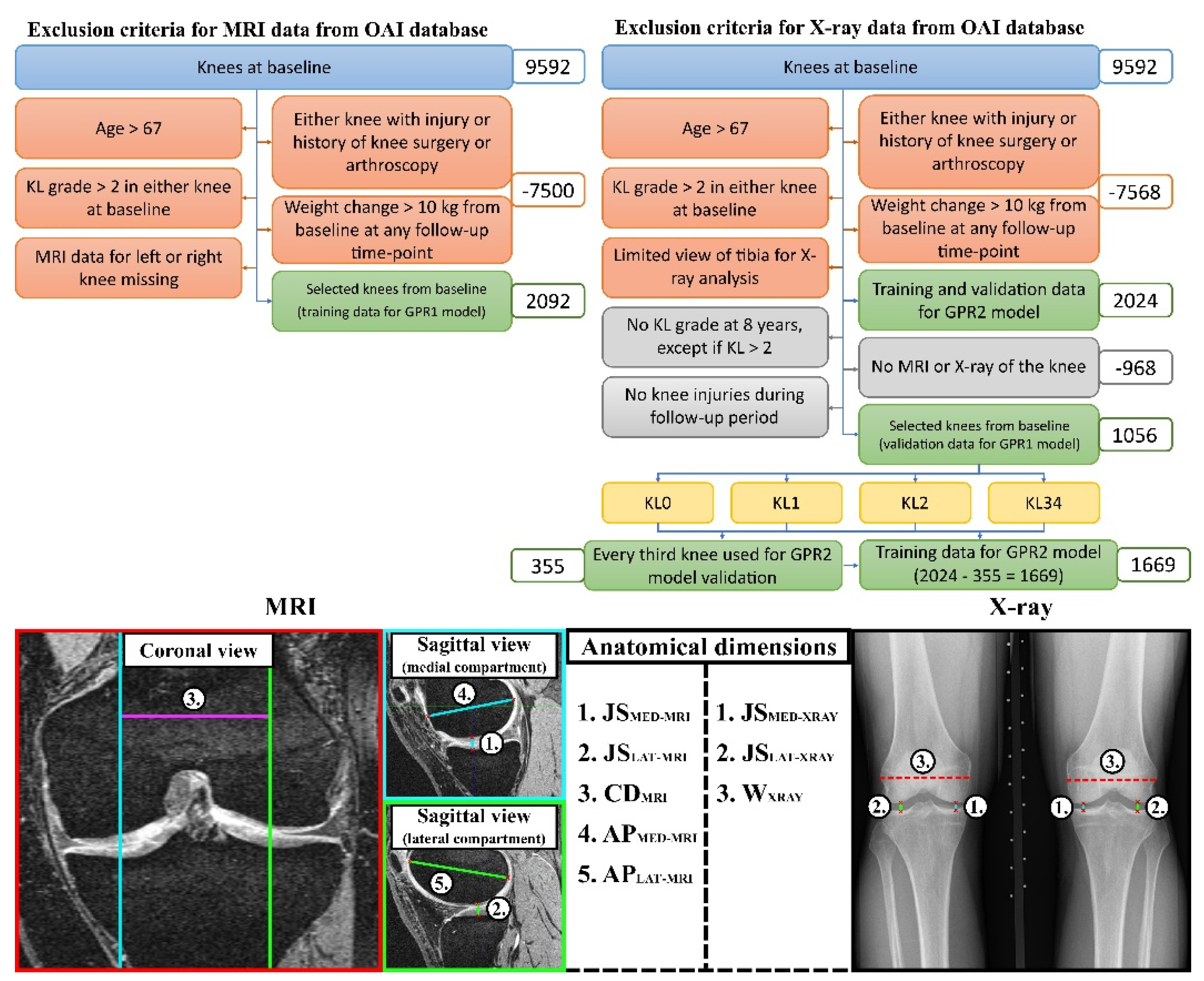 Preprints 118014 g002