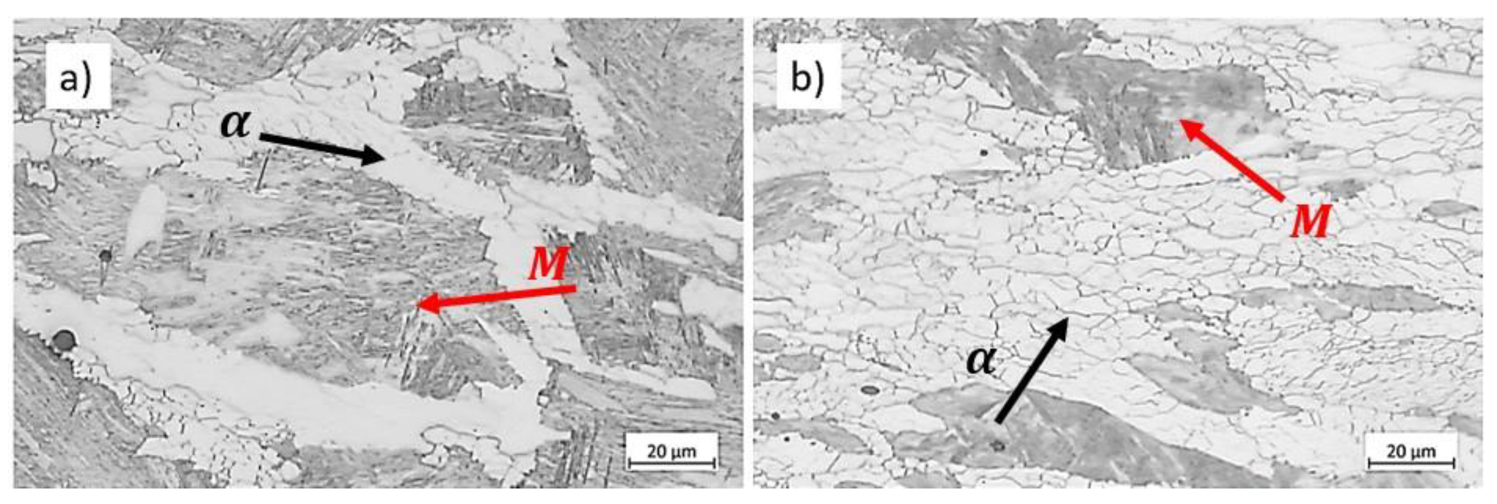 Preprints 116169 g009