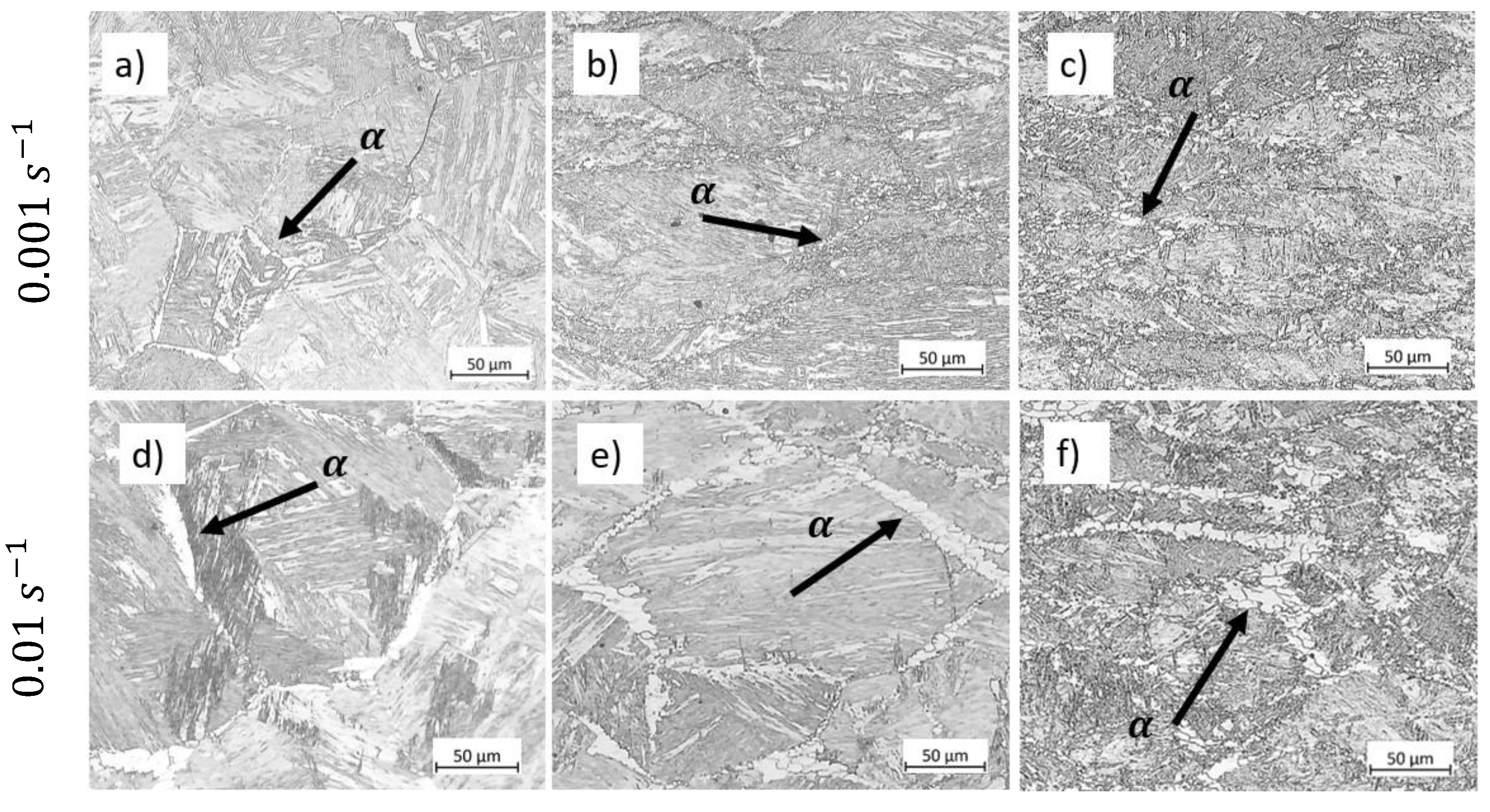 Preprints 116169 g015