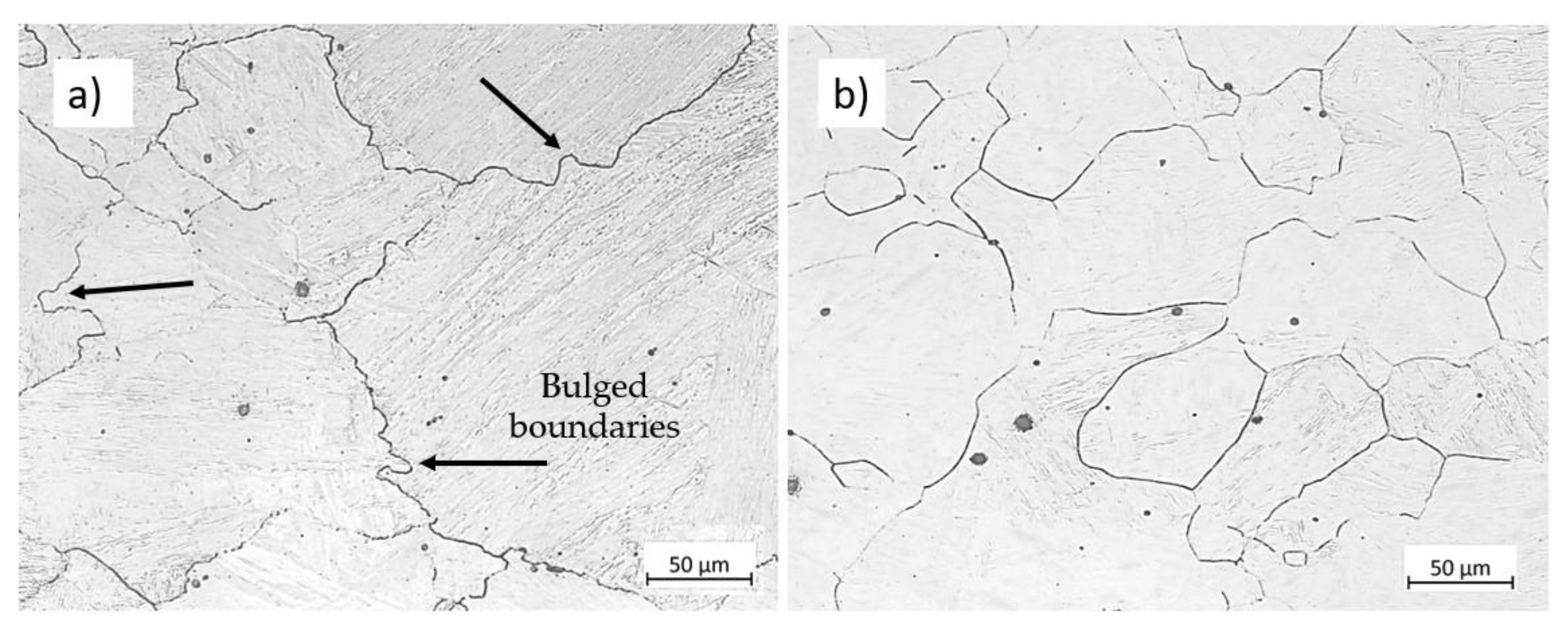 Preprints 116169 g019