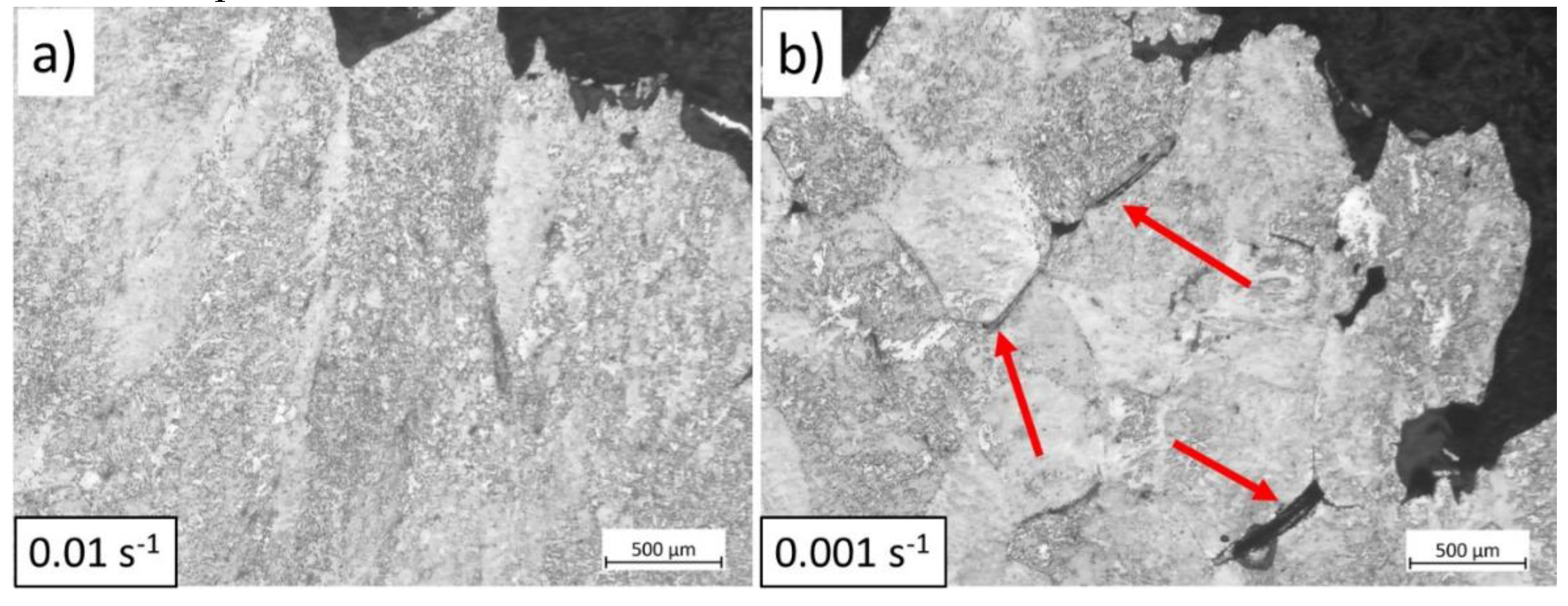 Preprints 116169 g020